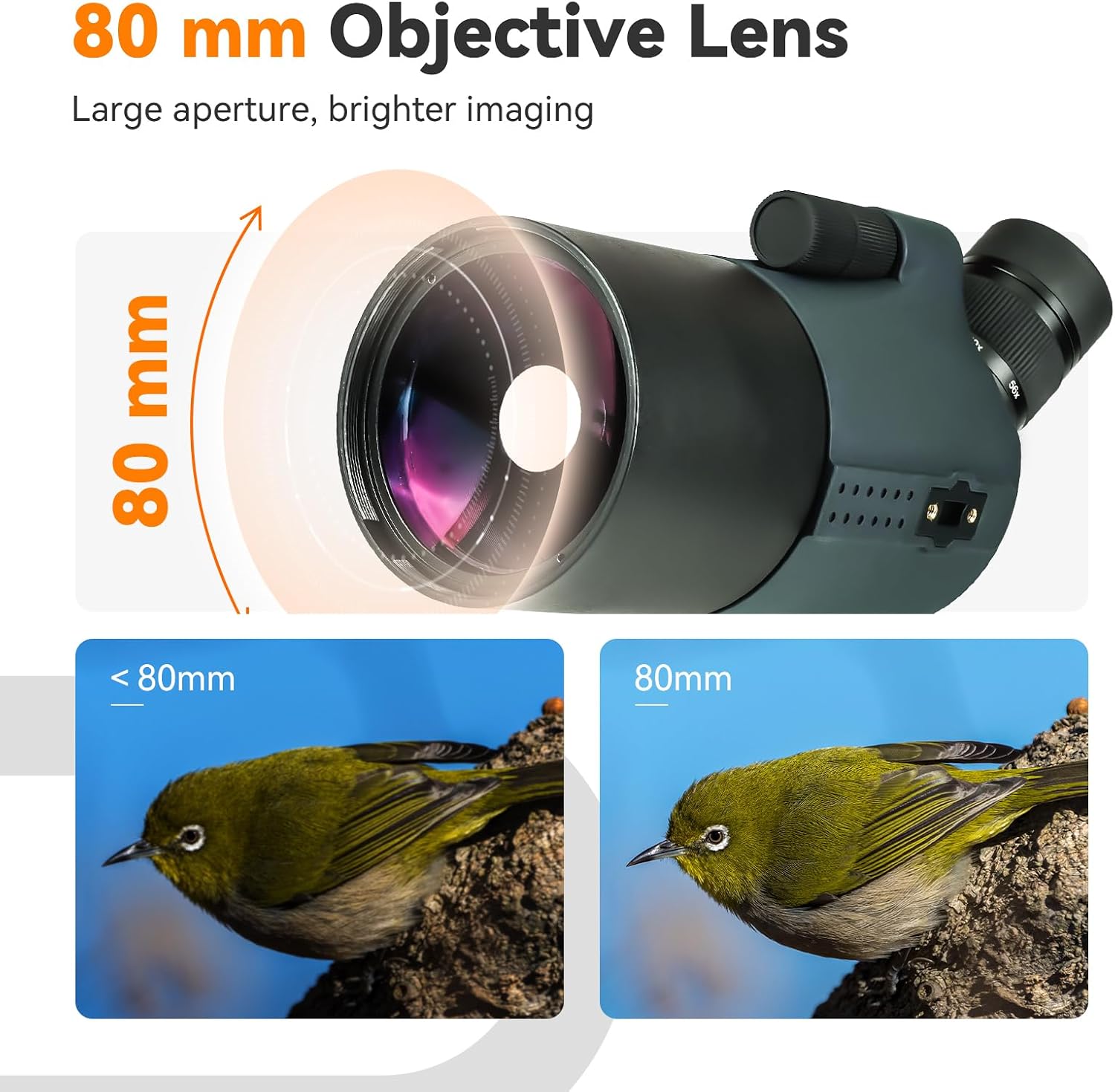 Detalle de SvBony SV41Pro Mini Télescope d’observation Maksutov-Coudé 28-84×80 mm avec oculaire FMC amovible 3,2 cm, viseur SV182 et adaptateur tir à l’arc