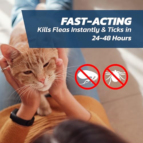 Detalle de Cat Flea Treatment Spot On x 6 – Flea & Tick Solution for Cats & Kittens Over 1kg