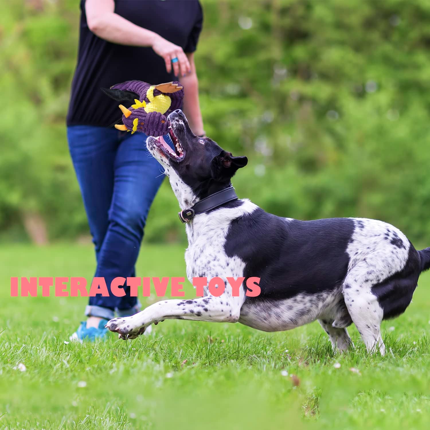 Detalle de GOOLA Purple Dragon Dog Toy – Plush Squeaky Tug & Fetch Toy for Large Breeds