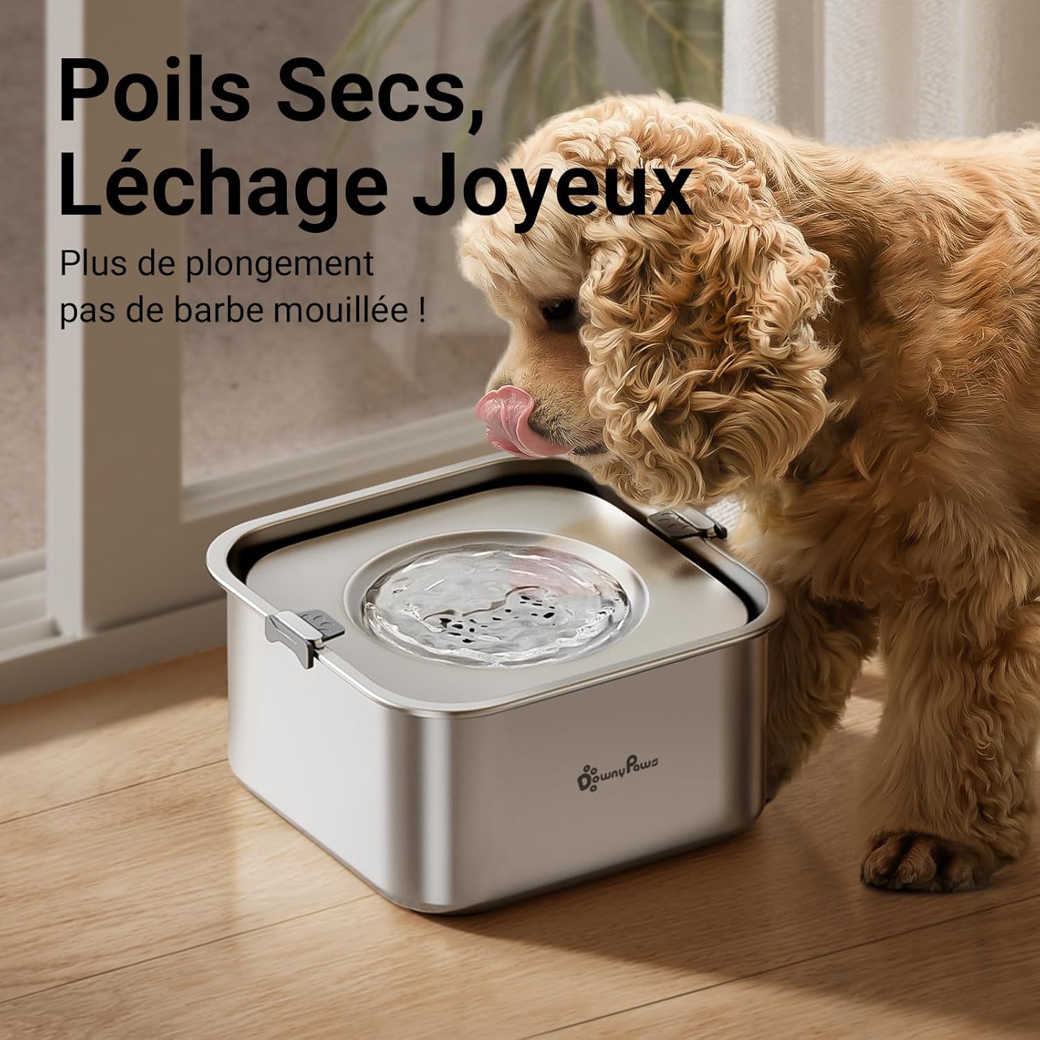Detalle de DownyPaws Gamelle Anti-Éclaboussures pour Chien – 3L en Acier Inoxydable, antidérapante et hygiénique (Petits et moyens chiens, Argenté)