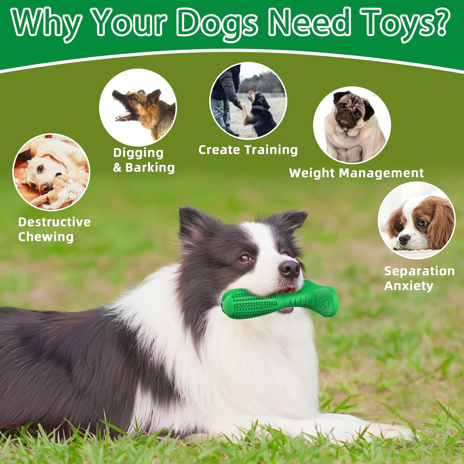 Thumbnail 4 de HETOO Natural Rubber Dog Grinding Rod – dental chew & toothbrush toy for large dogs