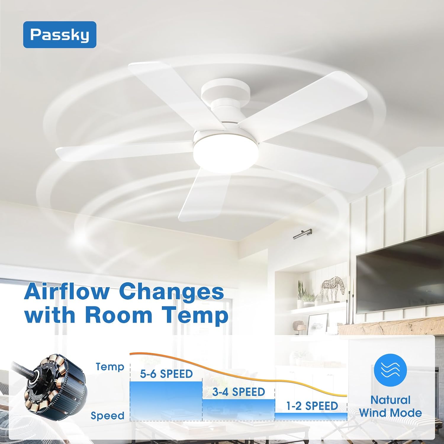 Detalle de Passky KFM42PLY5B03R1-2 42-Inch Low-Profile Ceiling Fan with Light