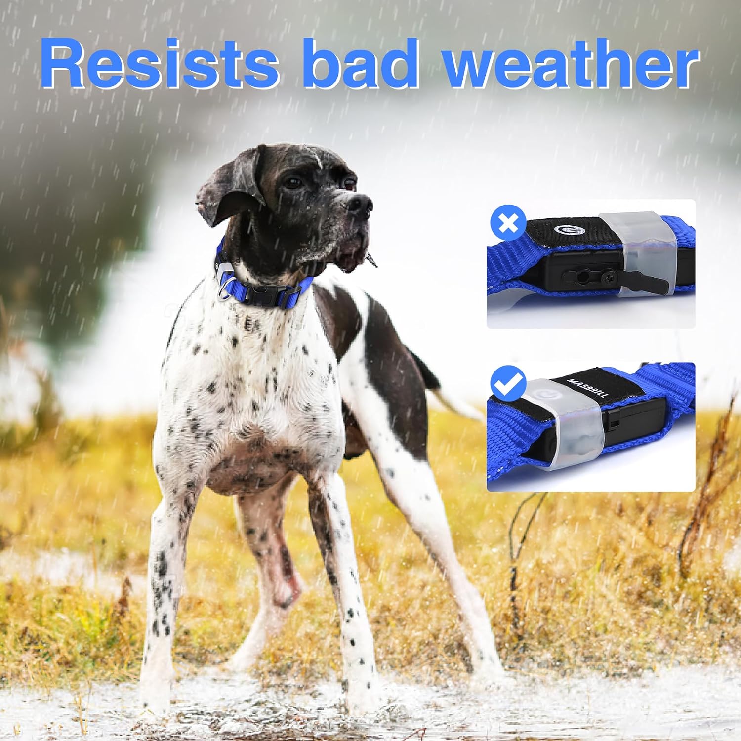 Detalle de MASBRILL Collier Lumineux pour Chien Rechargeable – LED Étanche, 3 Modes, Taille L (Bleu)
