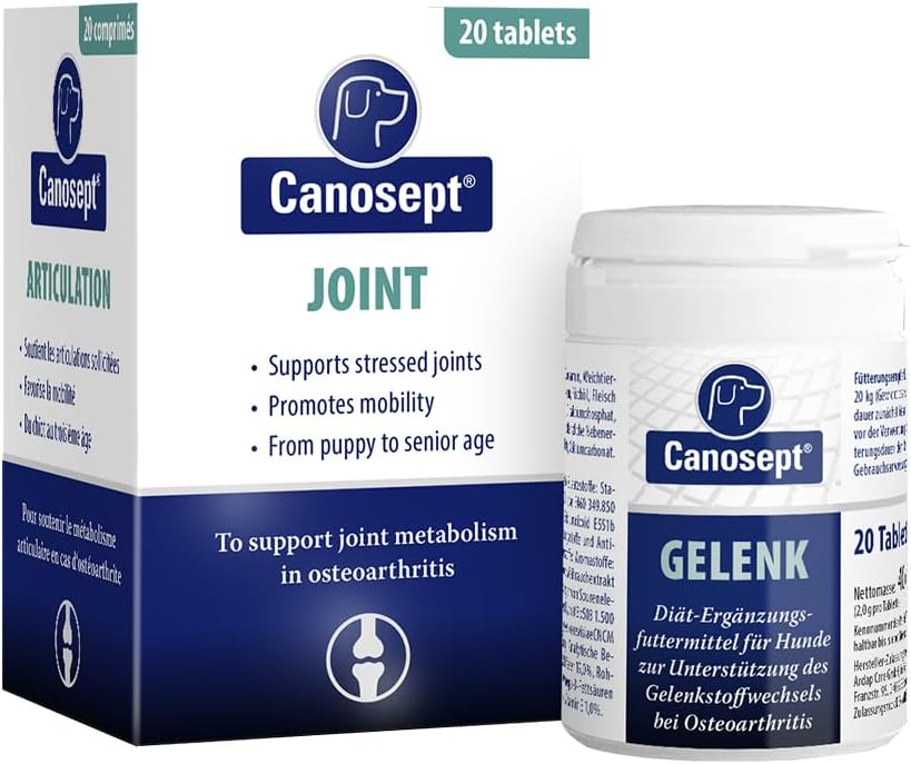 Detalle de Canosept Gel Per Ferite Cane 20ml – Gel antisettico per ferite e pulizia della pelle del cane