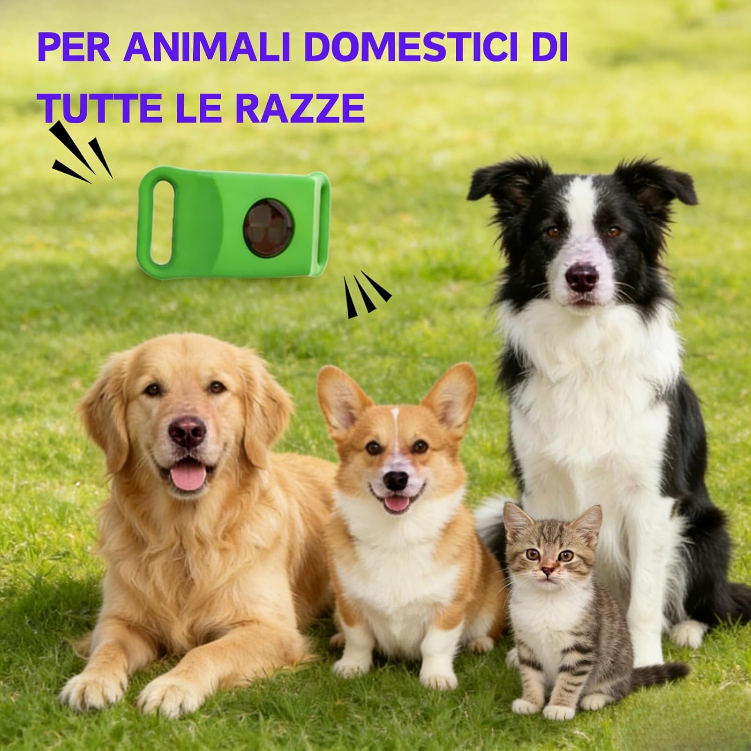 Detalle de Aquality Pets Collare Antiparassitario Naturale: protezione fino a 12 mesi per cani e gatti