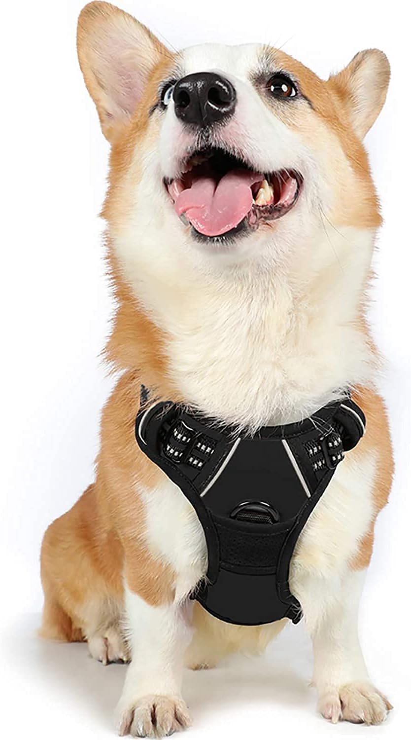Detalle de Rabbitgoo Harnais Chien Réglable Gilet avec Poignée et Réflectant — Taille M (41-56 cm/38-71 cm)