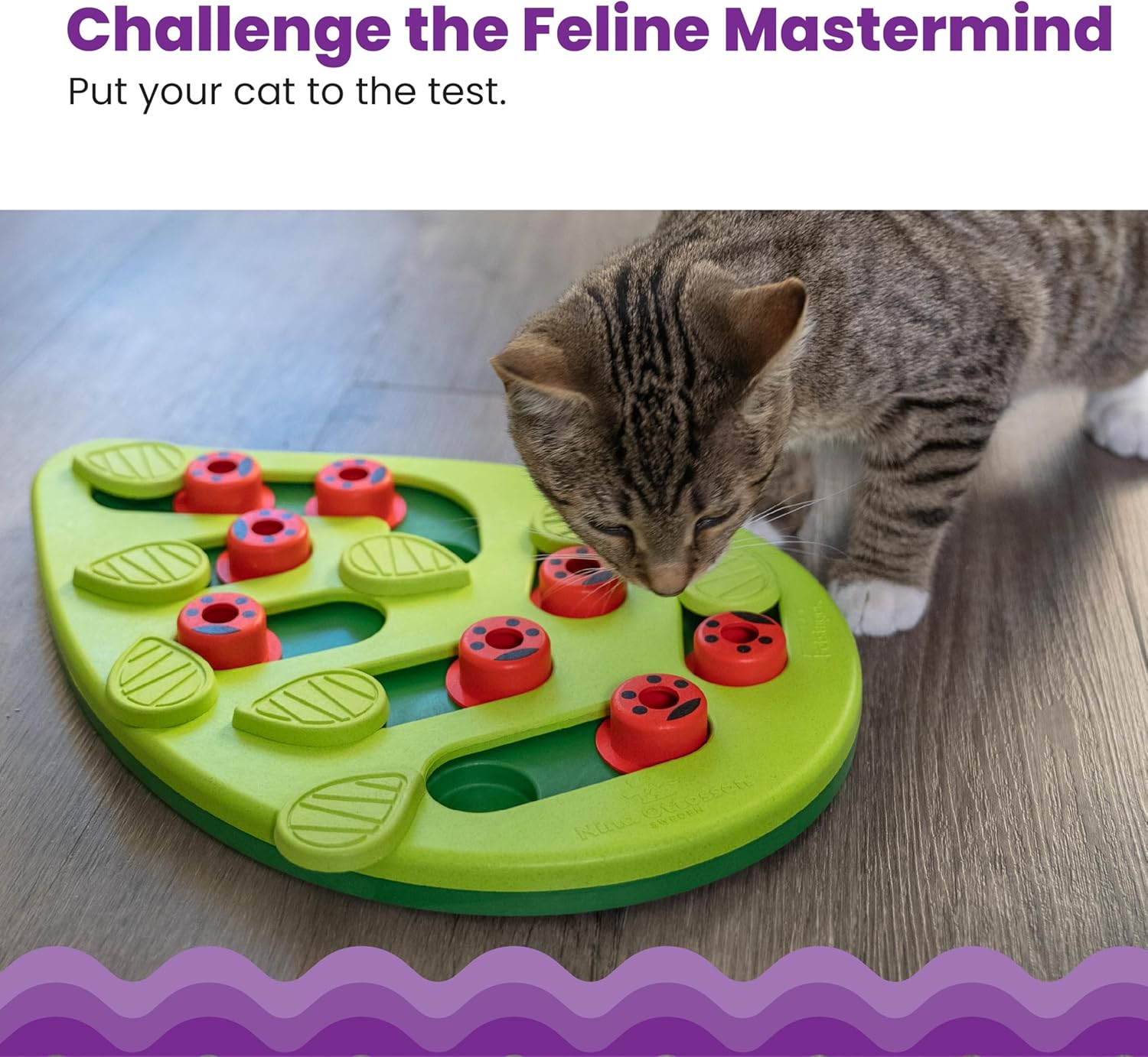 Thumbnail 1 de Catstages Nina Ottosson Interaktives Katzenspielzeug & Leckerli-Spender – Intelligenzspielzeug zur Selbstbeschäftigung