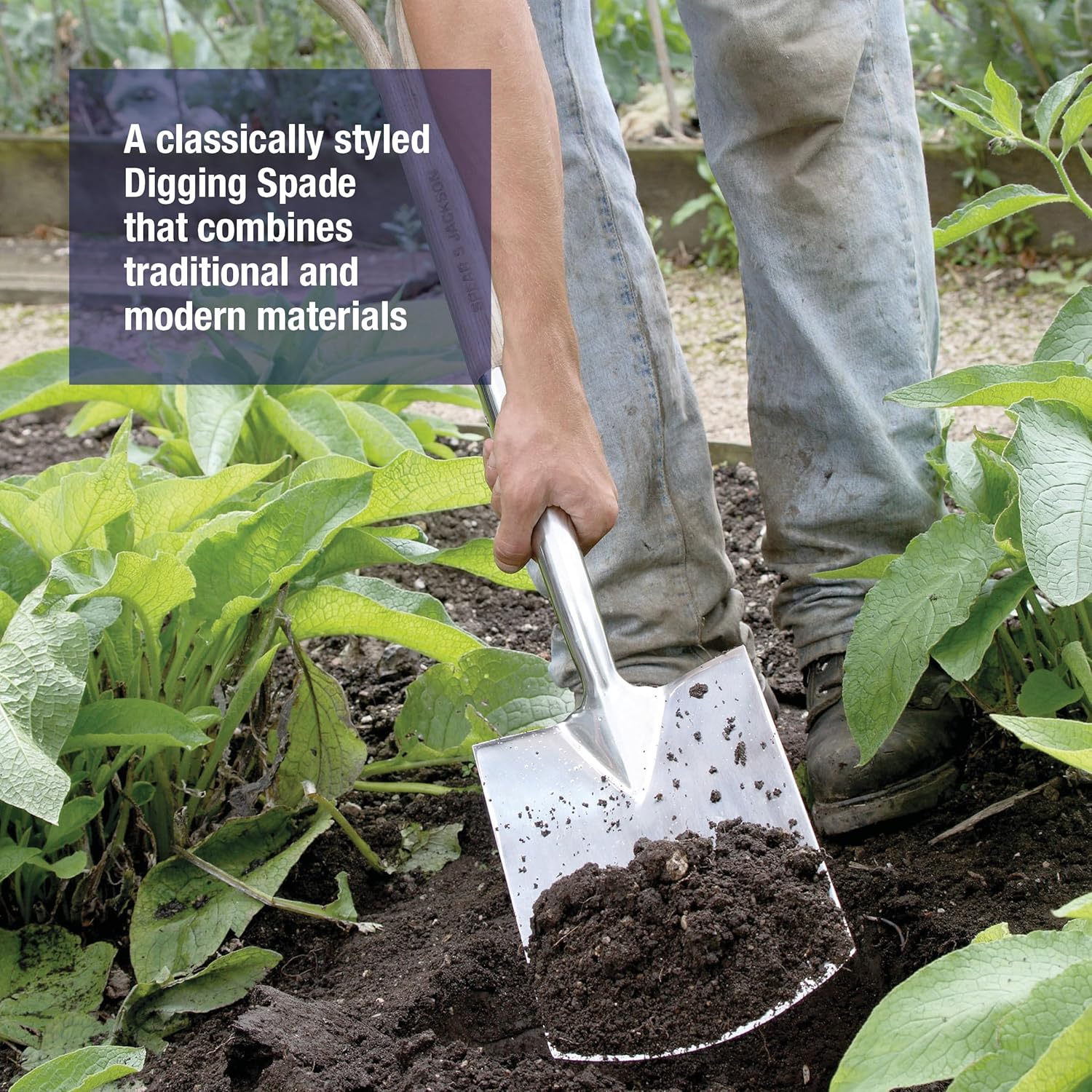 Thumbnail 2 de Spear & Jackson 4450DS Traditional Stainless Digging Spade