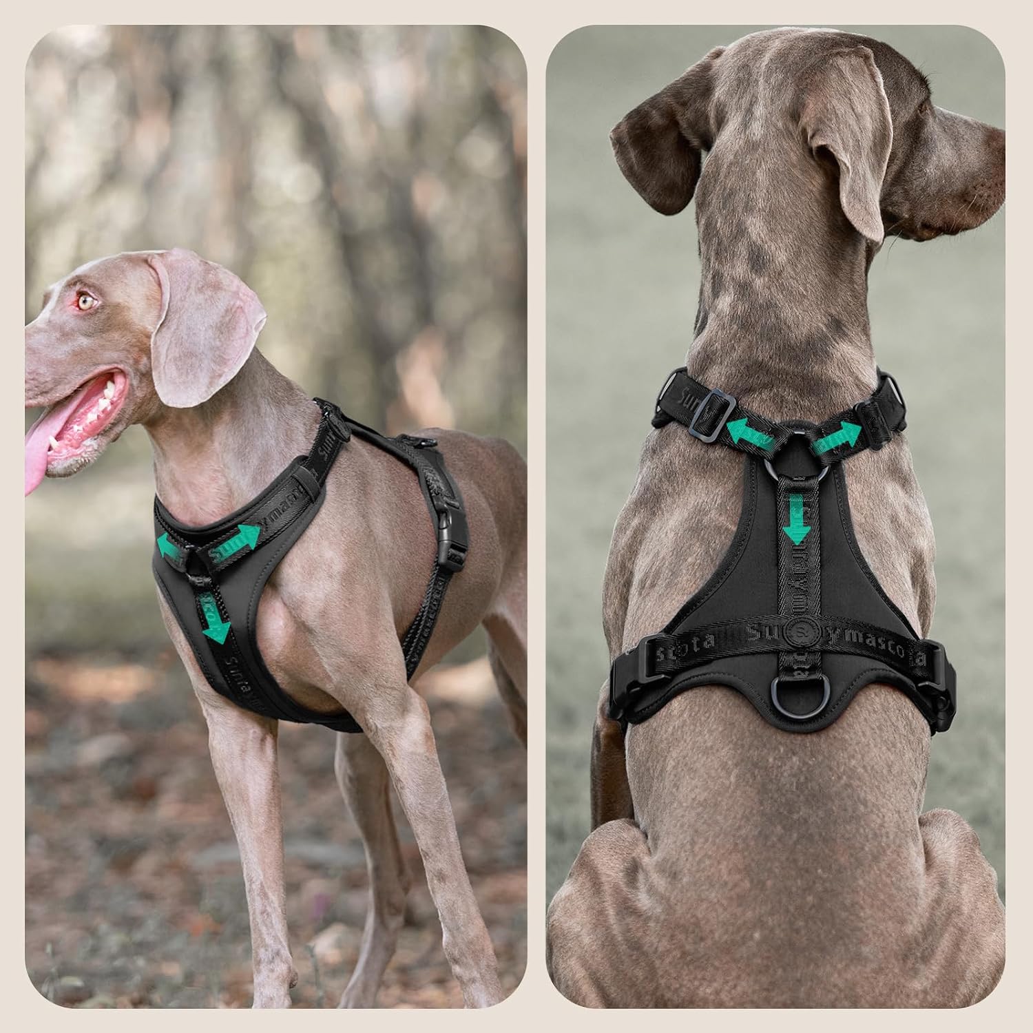 Thumbnail 1 de Sunraymascota Imbracatura per cani con imbottitura in Lycra: comfort traspirante per ogni passeggiata (Taglia M, Nero)