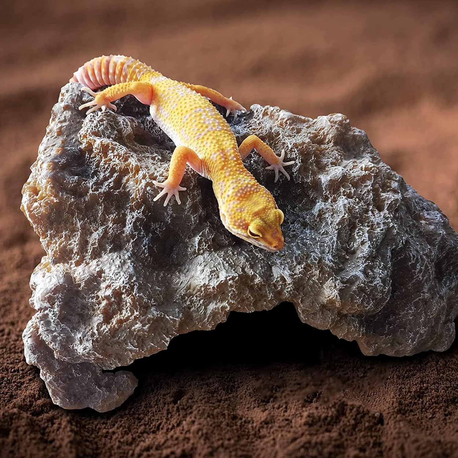 Thumbnail 4 de Reptile Rock Cave Hideout for Small Lizards, Snakes & Amphibians
