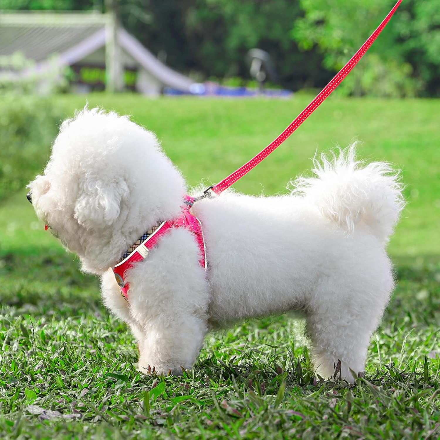 Detalle 2 de Hipubby Dog Harness, Size S