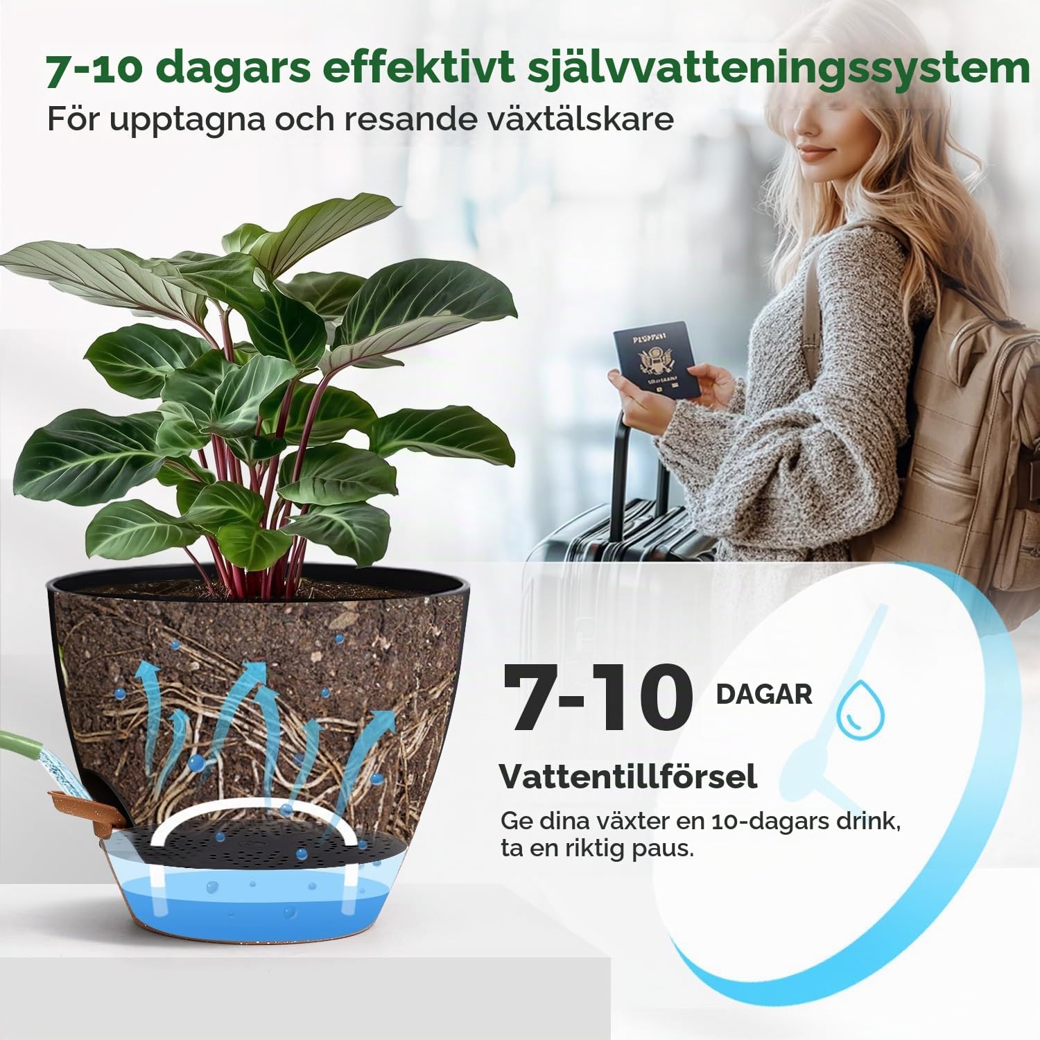 Detalle de T4U självvattnande blomkrukor 20 cm, svarta, 2-pack med synlig vattennivå