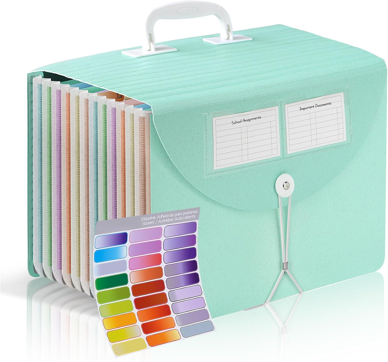 Agoer Trieur A4 13 compartiments 35,5 cm 📁