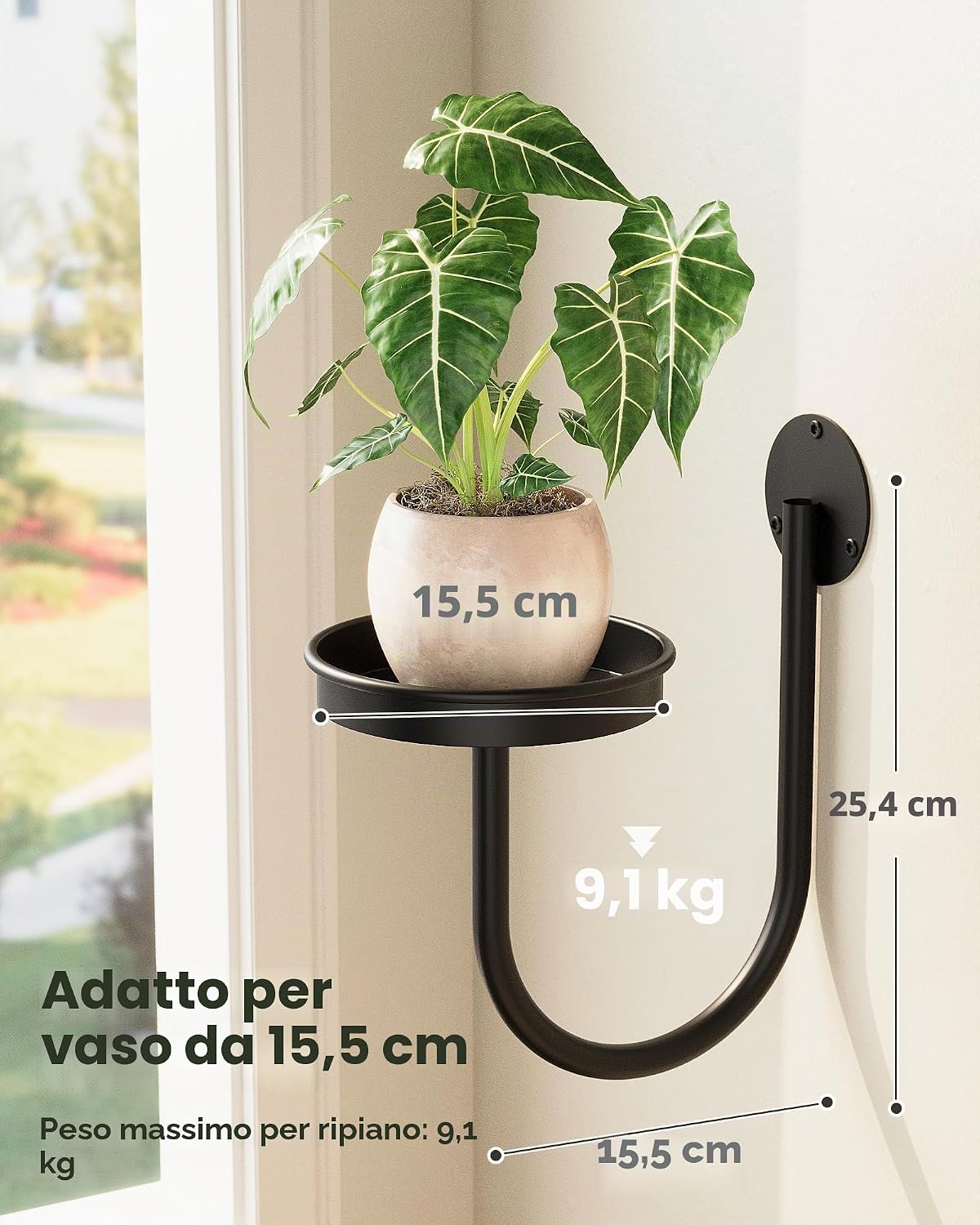 Thumbnail 2 de Bamworld Porta piante da interno in metallo da parete – supporto moderno per piante, design nero minimal