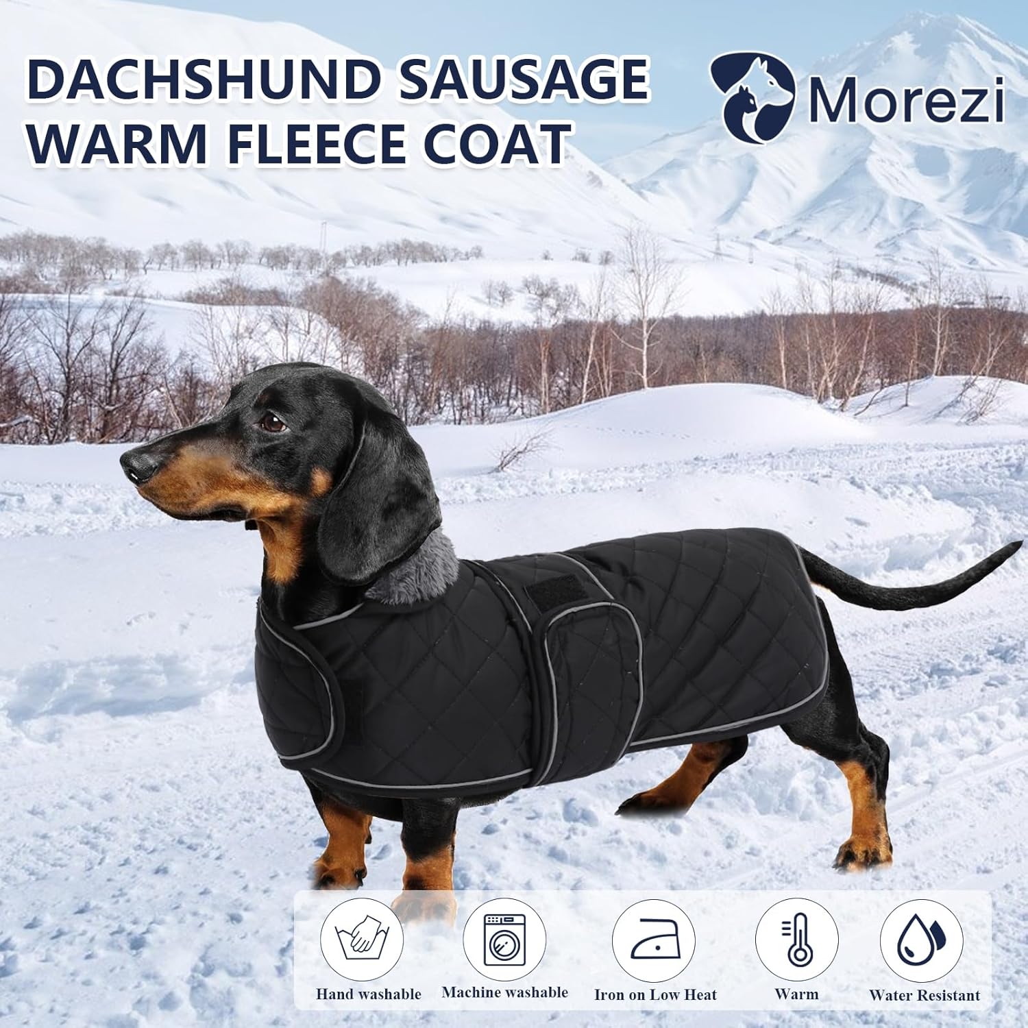 Thumbnail 1 de Morezi Dachshund winter coat with padded fleece lining (Black, XS)