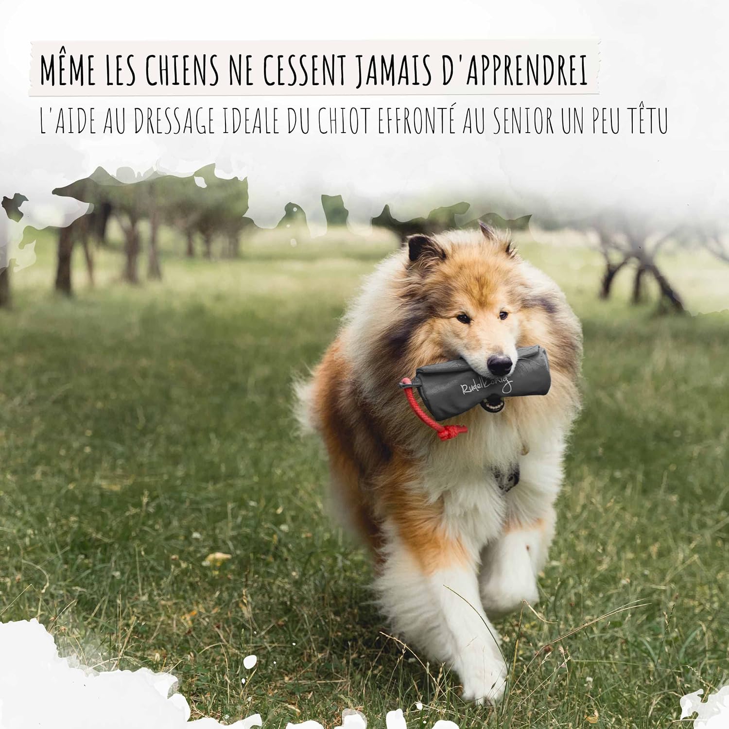 Detalle de Rudelkönig Apportable jouet chien