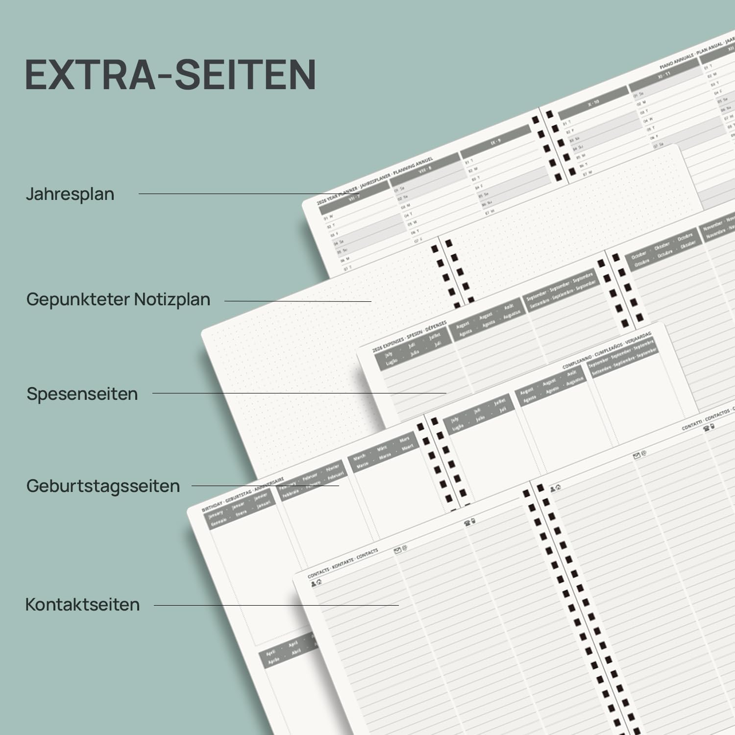 Detalle de POPRUN Kalender 2026/2027 Wochenplaner – Ringbuch mit Softcover, 17 Monate (Aug 2026 – Dez 2027), Pazifikgrün, ca. A4