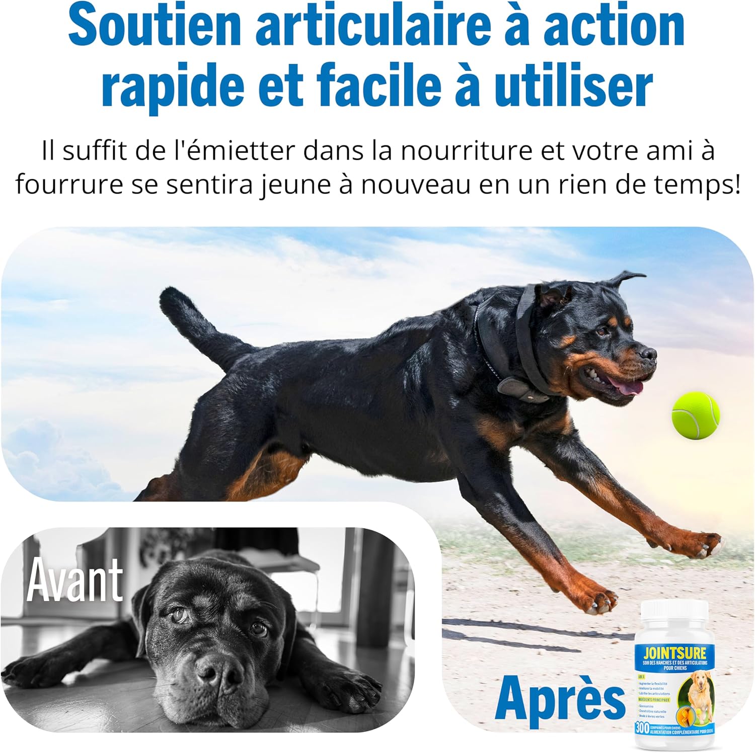 Thumbnail 4 de JOINTSURE Senior 300 comprimés pour mobilité canine