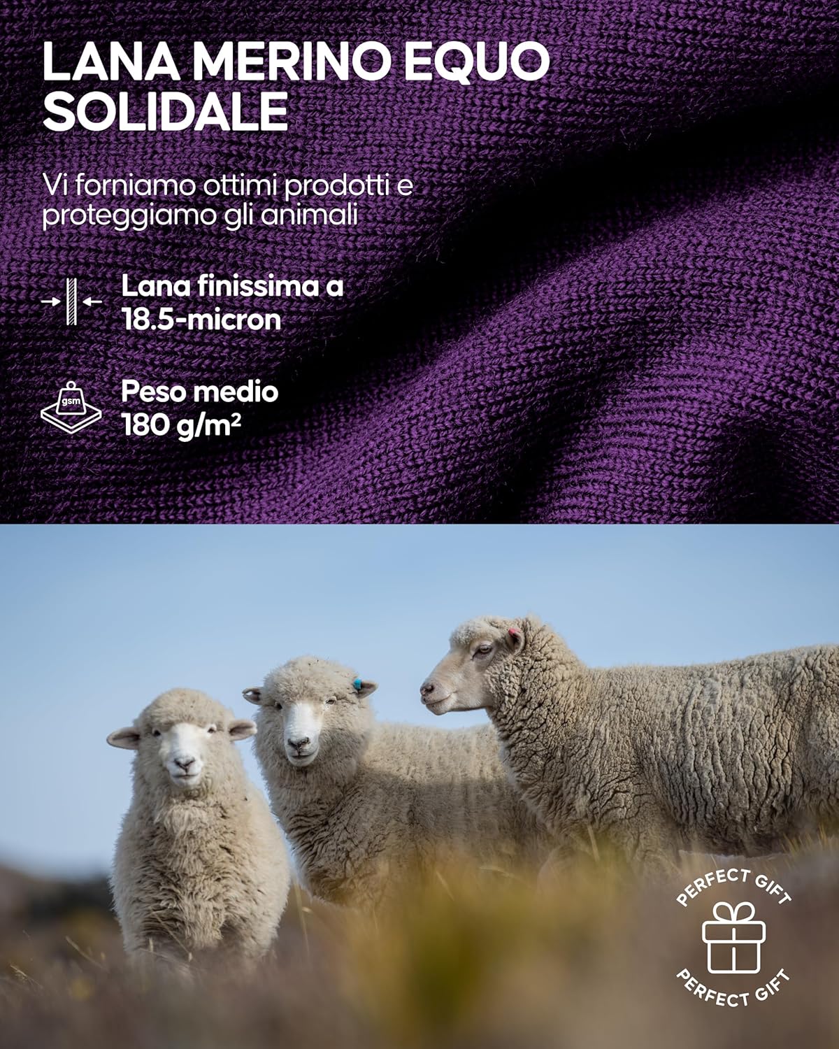 Detalle de DANISH ENDURANCE Maglia Termica Donna in Lana Merino – Manica Lunga per Sci, Trekking ed Escursionismo