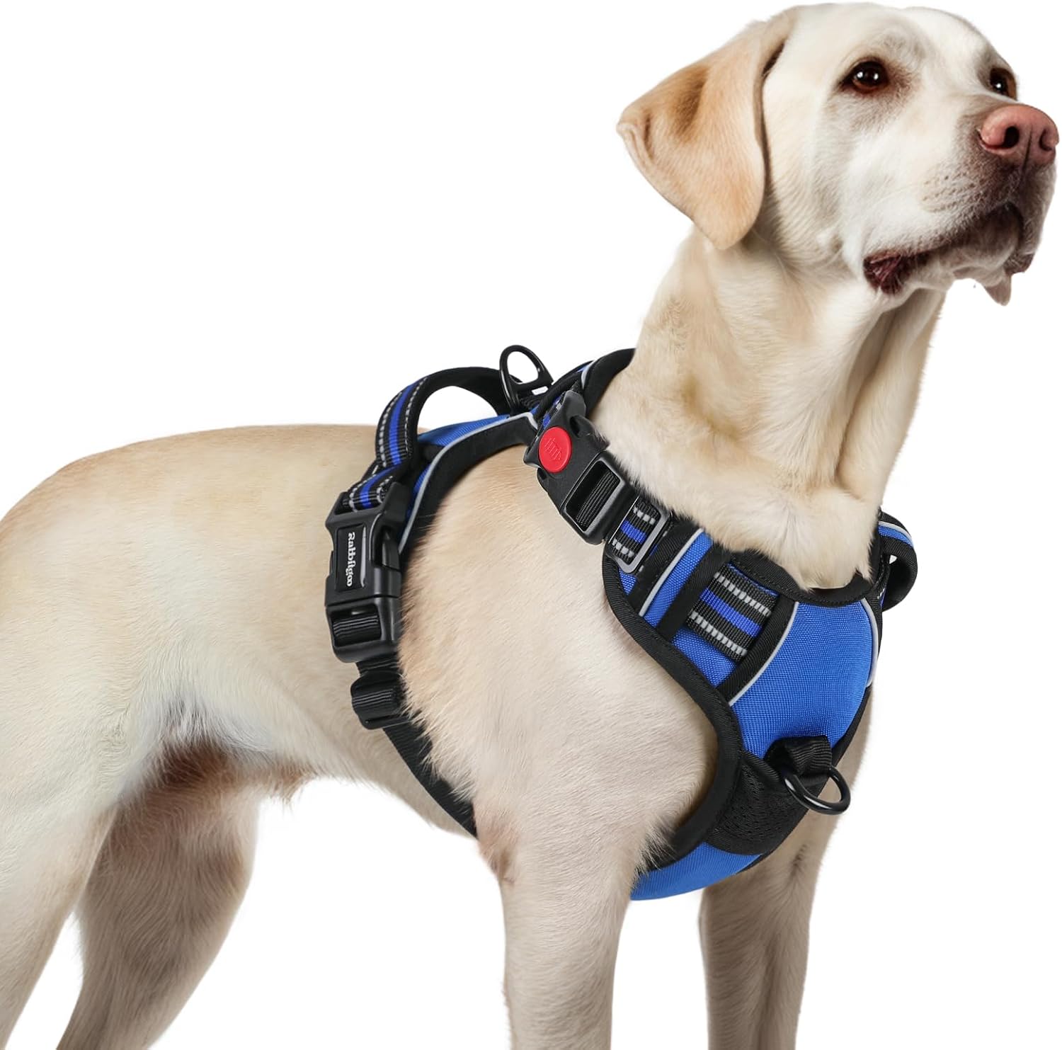 Detalle de rabbitgoo No-Pull Dog Harness L, 3 Buckles
