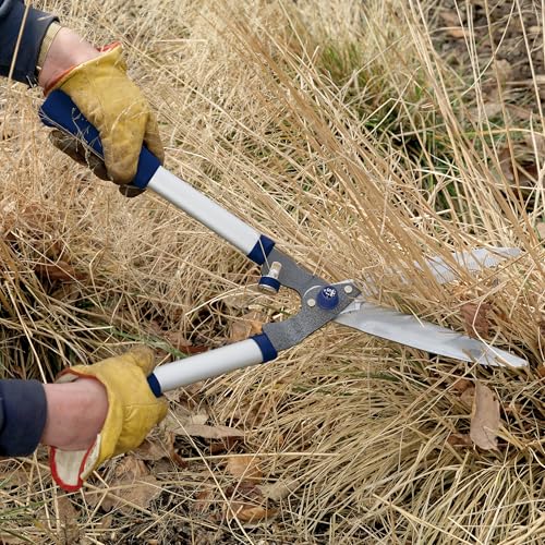 Thumbnail 3 de Spear & Jackson 8110RS Razorsharp Notched Hedge Shears