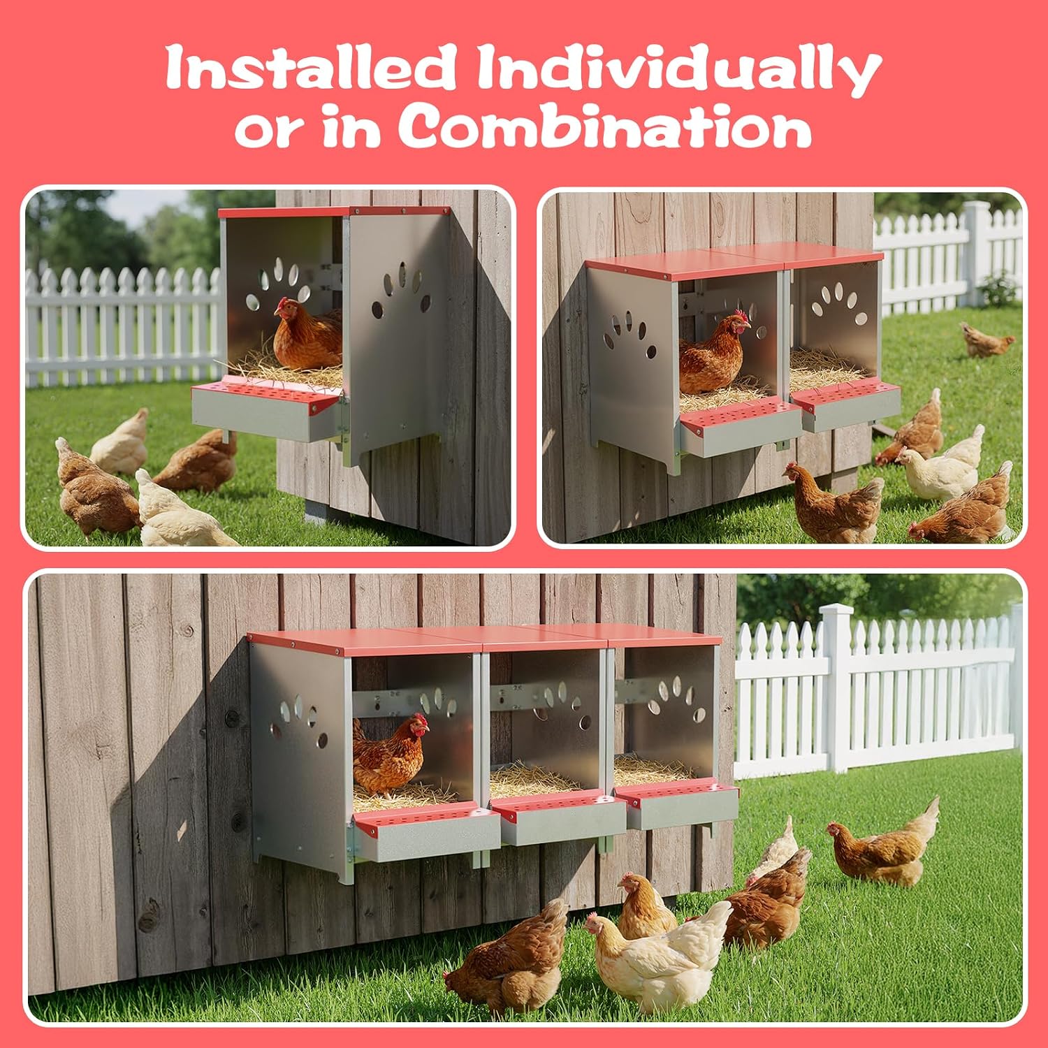 Detalle 1 de Chicken Nesting Box in Galvanized Steel
