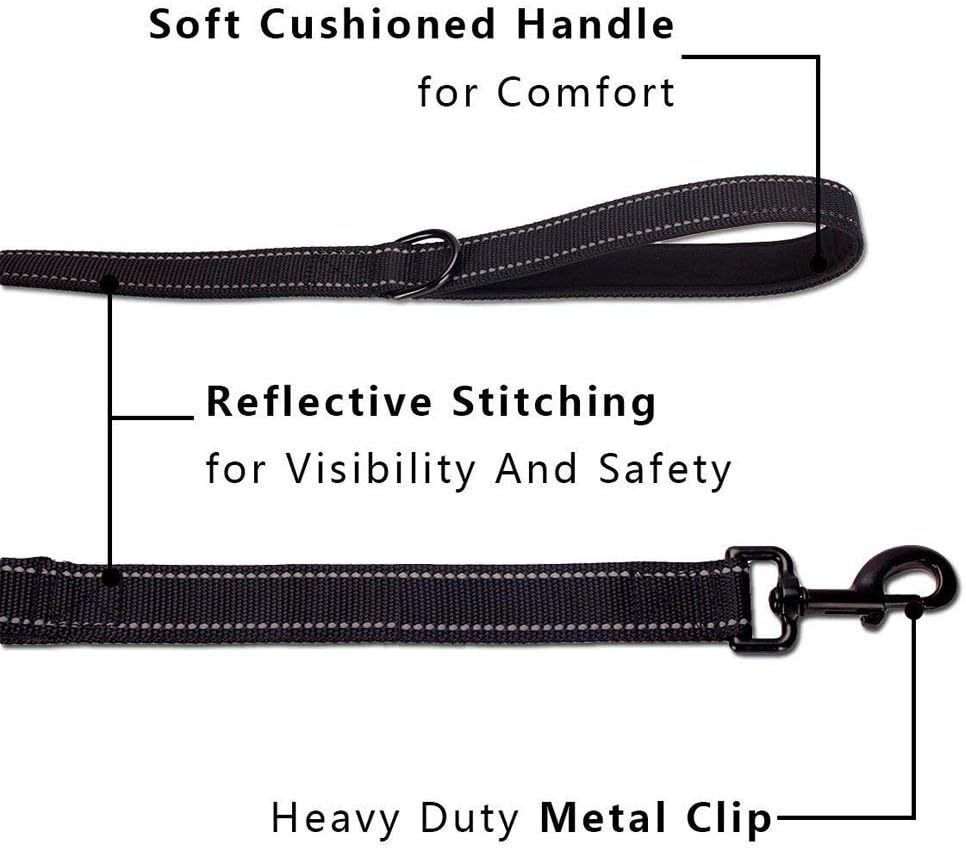 Detalle de Reflective Dog Lead 1.5 m — Padded Handle 🐕