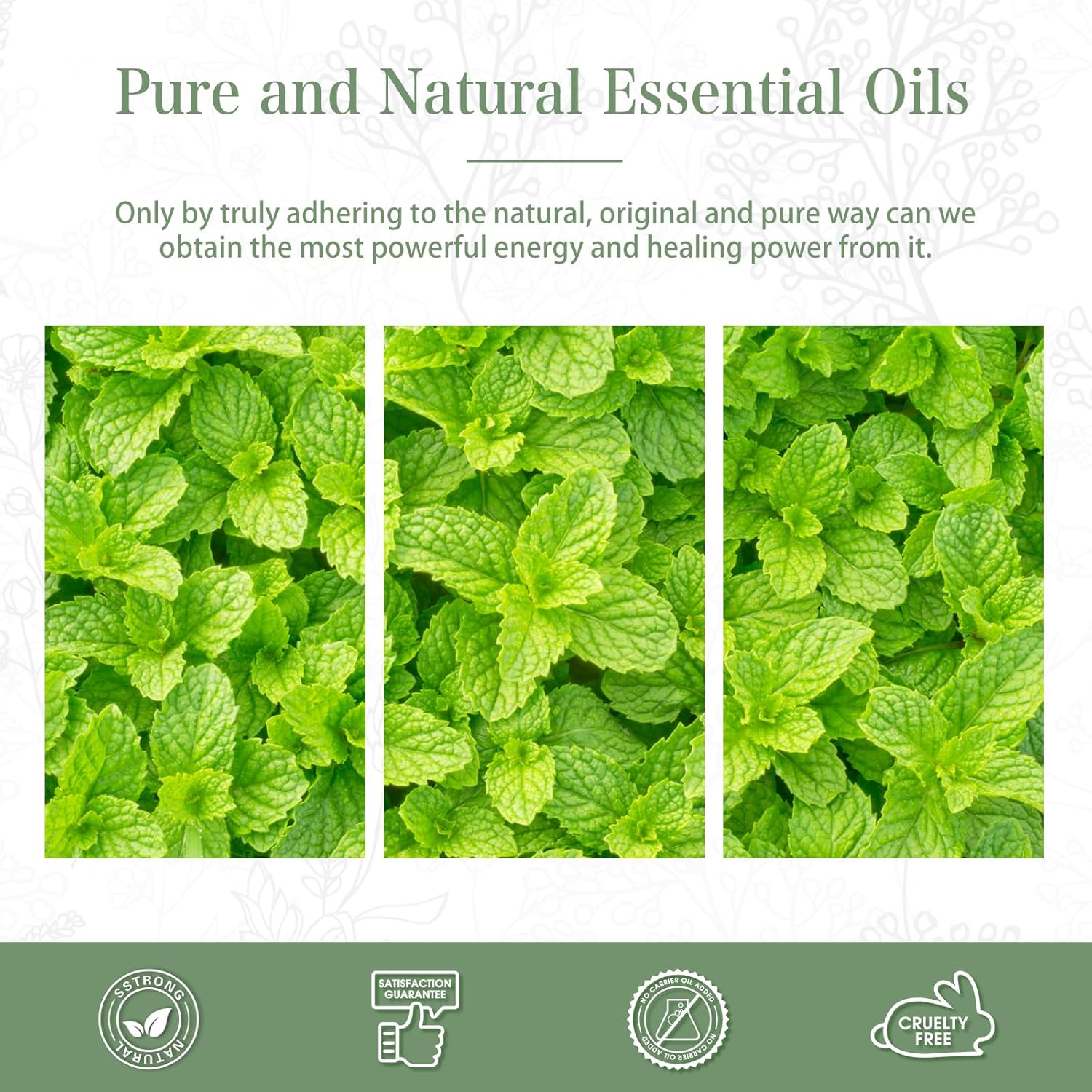 Detalle de PHATOIL Peppermint Essential Oil 100ml – natural & pure premium peppermint oil for aromatherapy, hair, skin and DIY