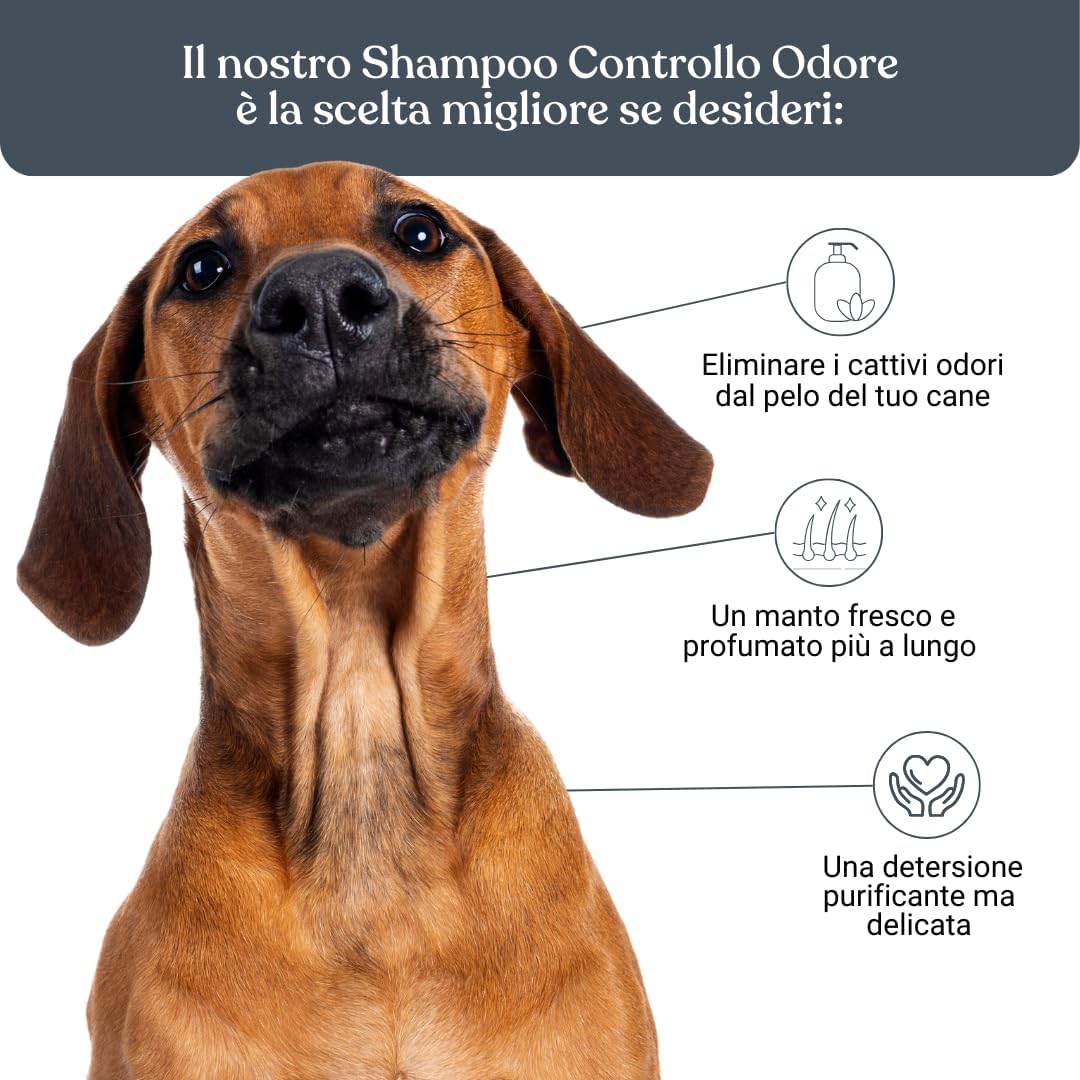 Detalle de Bau Shampoo Cane Controllo Odori con Bardana, Aloe Vera e Pantenolo — Deodorante per Cani