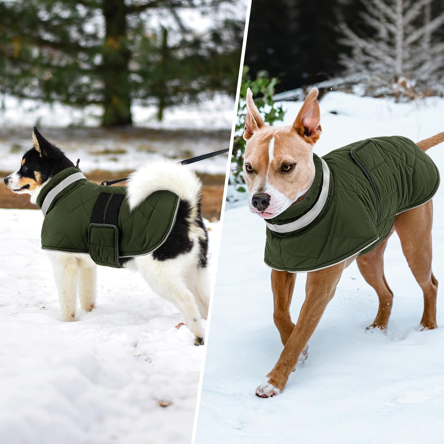 Thumbnail 6 de KAMA BRIDAL Dog Winter Coat, Size S