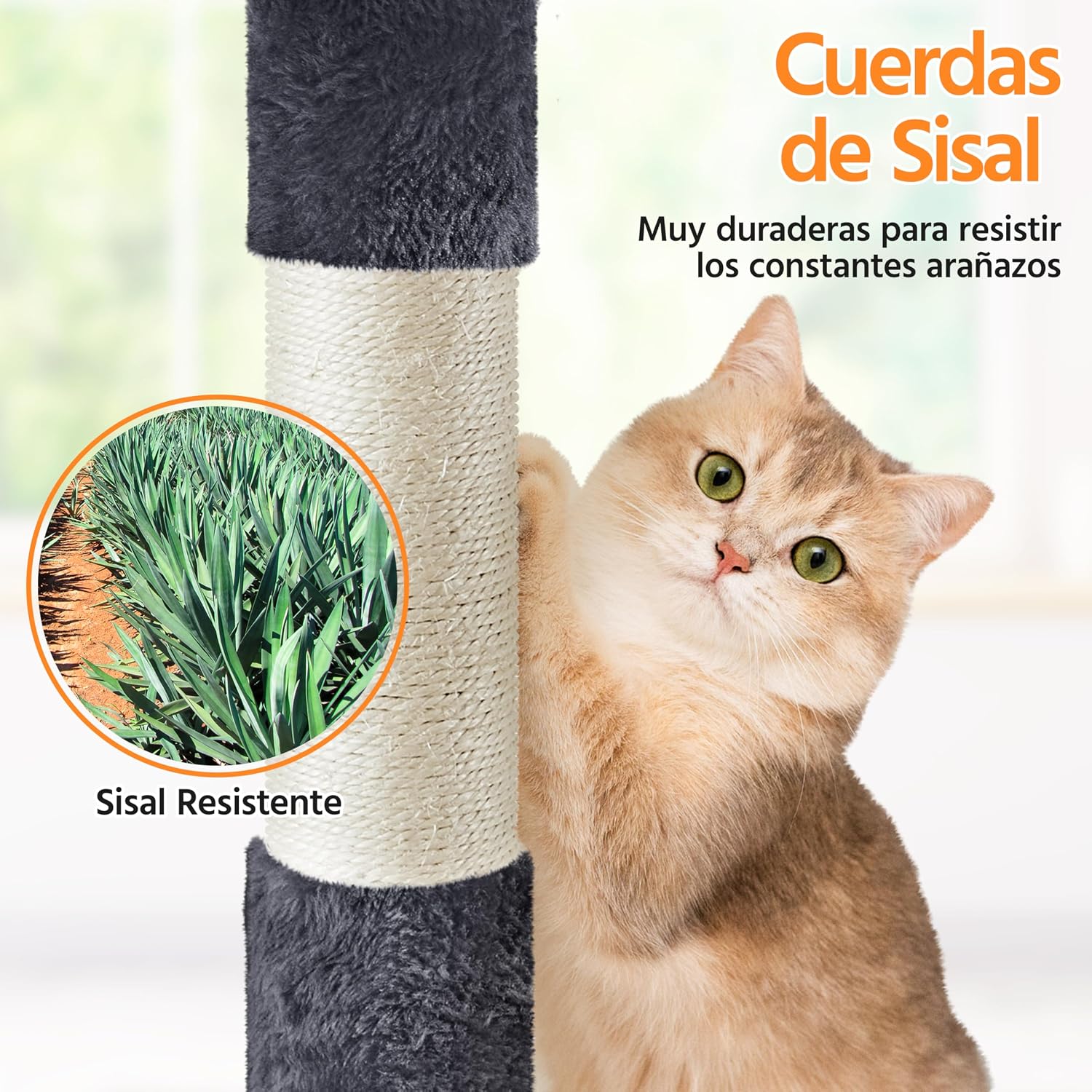 Thumbnail 5 de Yaheetech Árbol Rascador 158 cm para gatos