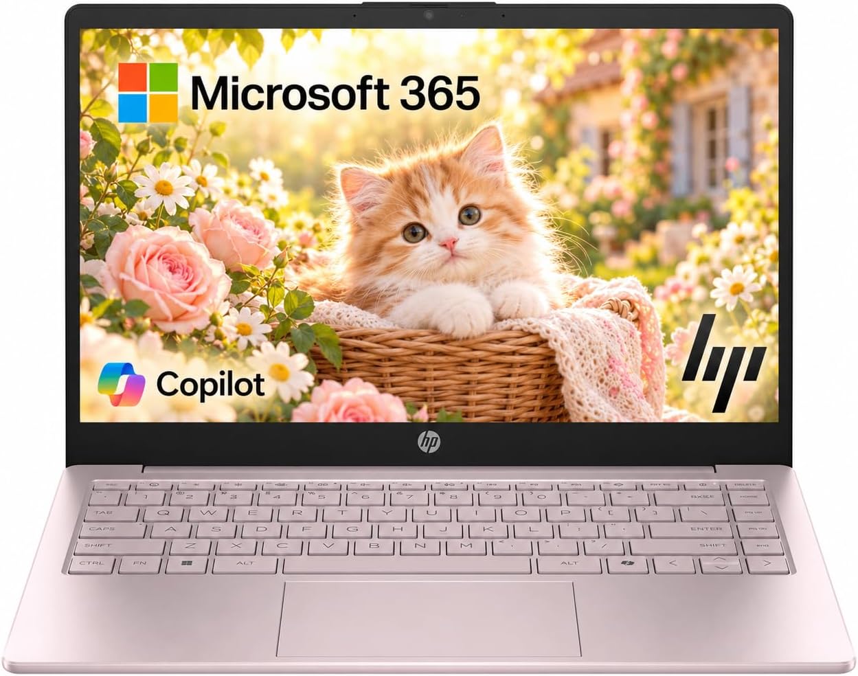 Detalle de HP 14-inch laptop