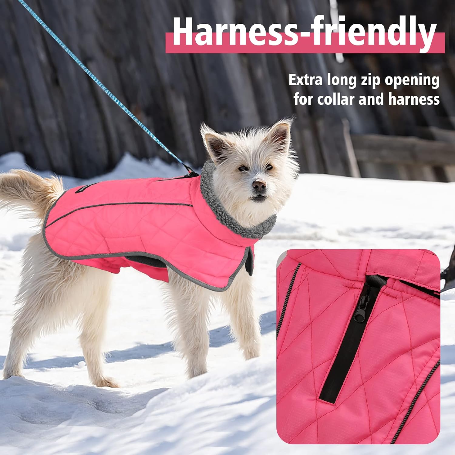 Detalle de Fragralley Dog Coat, 3XL
