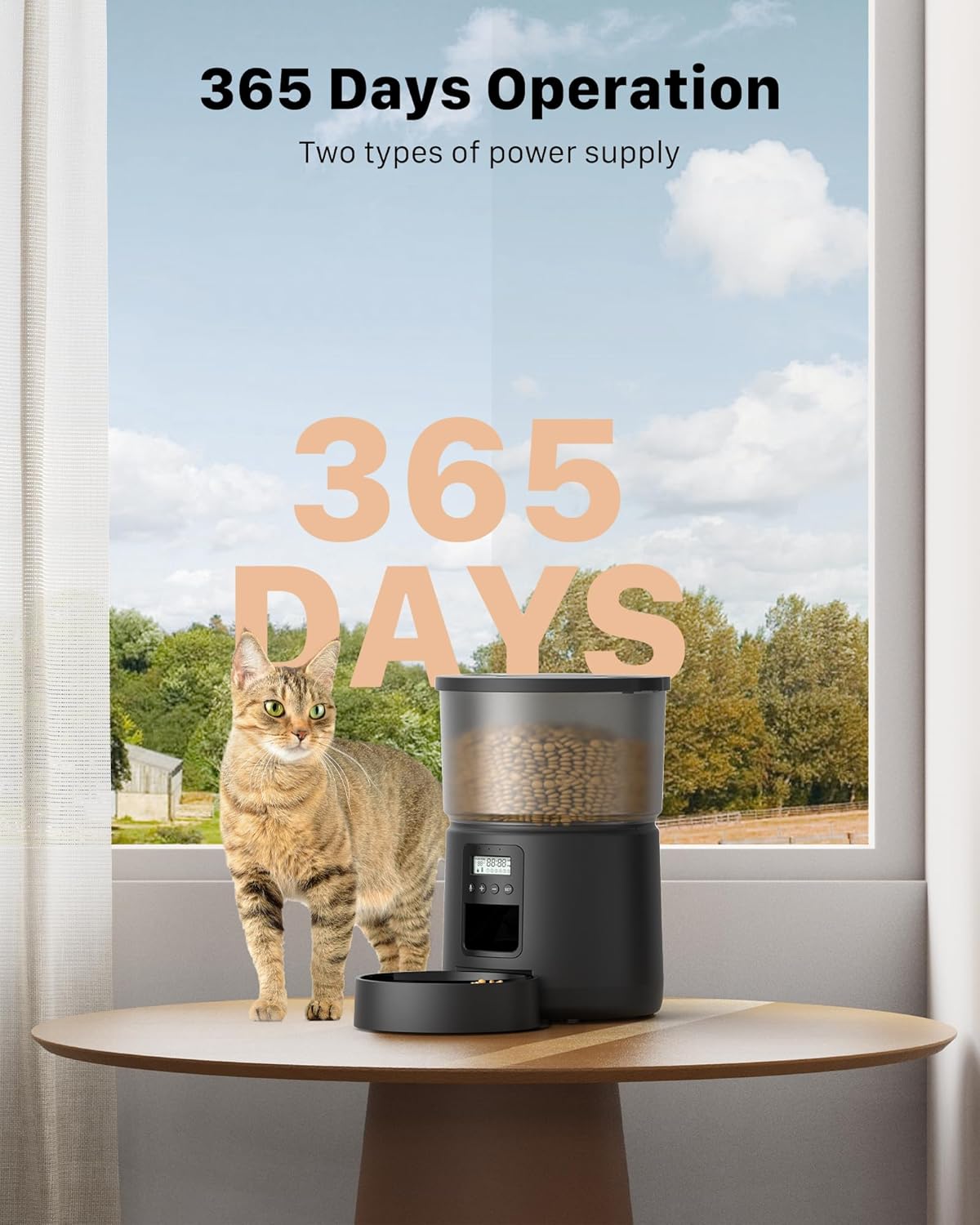 Thumbnail 6 de Automatic Cat Feeder 3L programmable bowl 🍽