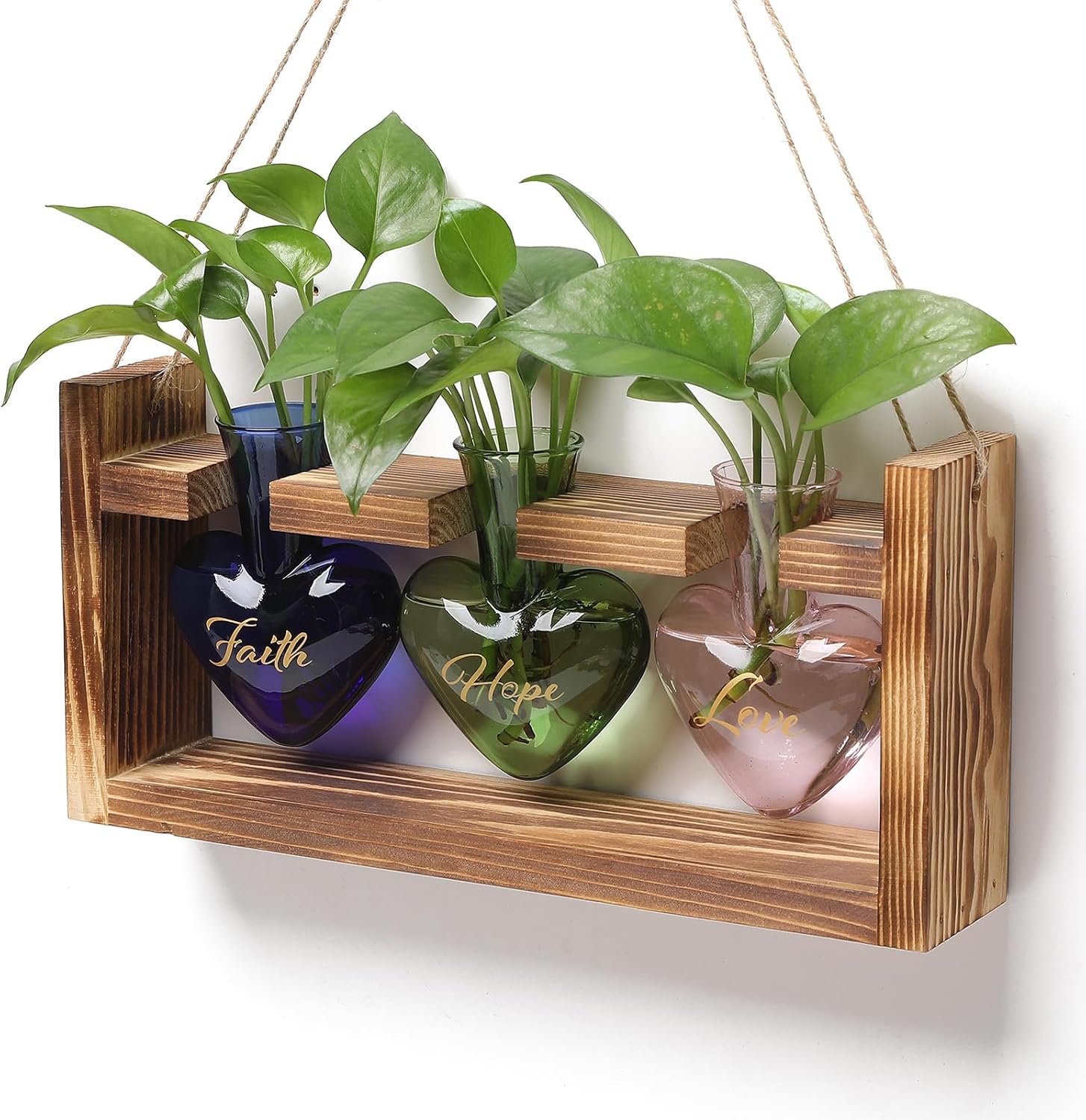 Thumbnail 6 de Heart-Shaped Glass Plant Propagation Station