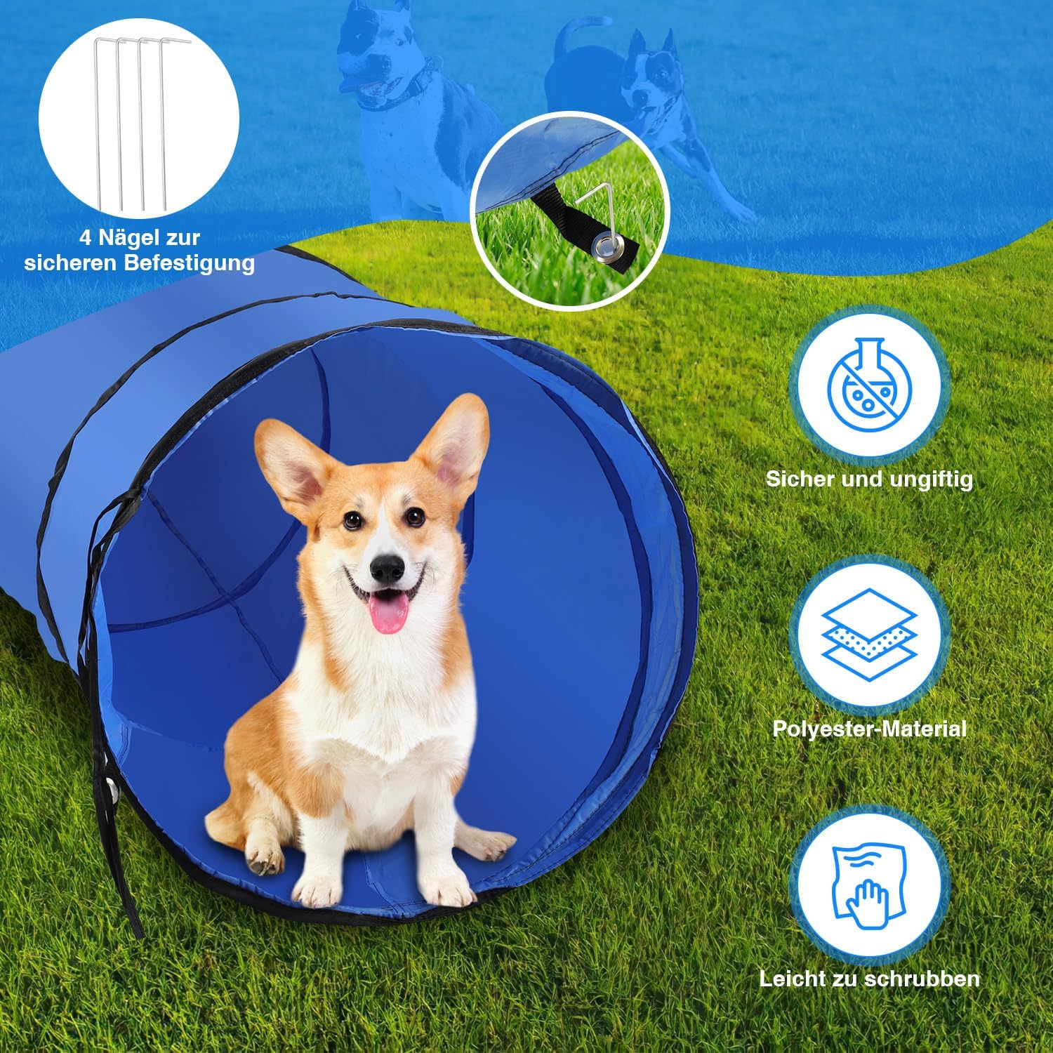 Detalle de Hebitod Agility Set Hunde – 5-teiliges Set für flexibles Hundetraining (Slalom, Hürde, Sprungring, Tunnel)