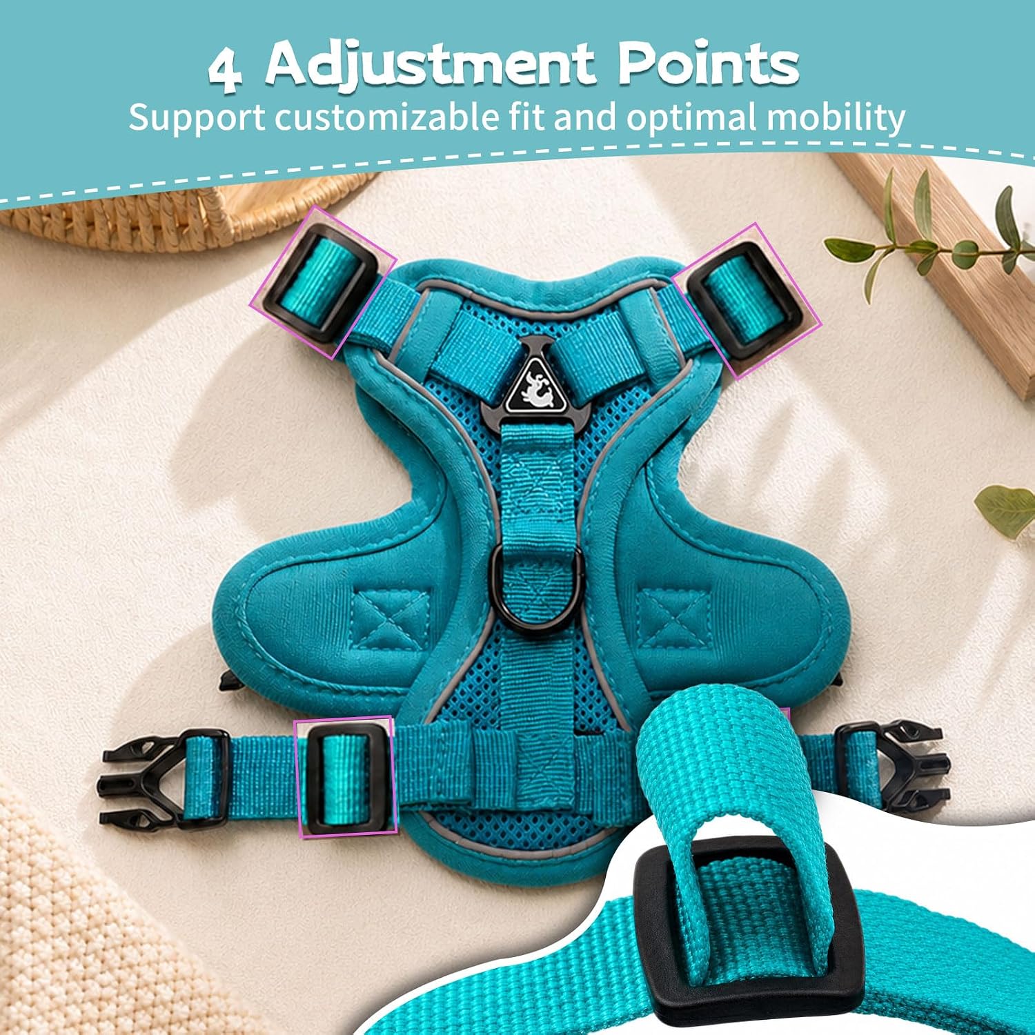 Detalle 2 de Cat and Small Dog Harness and Leash Set, XL