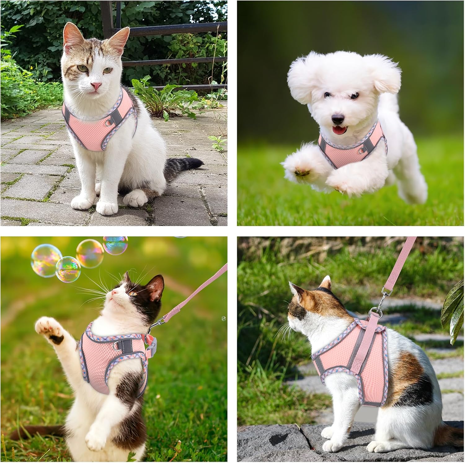 Thumbnail 6 de Brifit Cat Harness and Lead Set (Soft Mesh, Escape-Proof Vest) with Reflective Kitten Harness, Pink, XXS