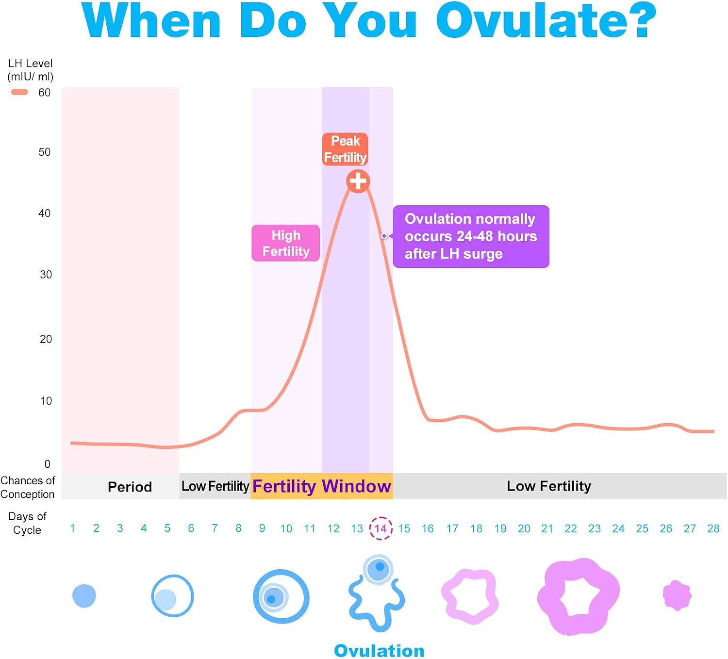 Detalle 2 de Easy@Home 50 ovulation test strips and 20 pregnancy test strips kit (Premom app supported)
