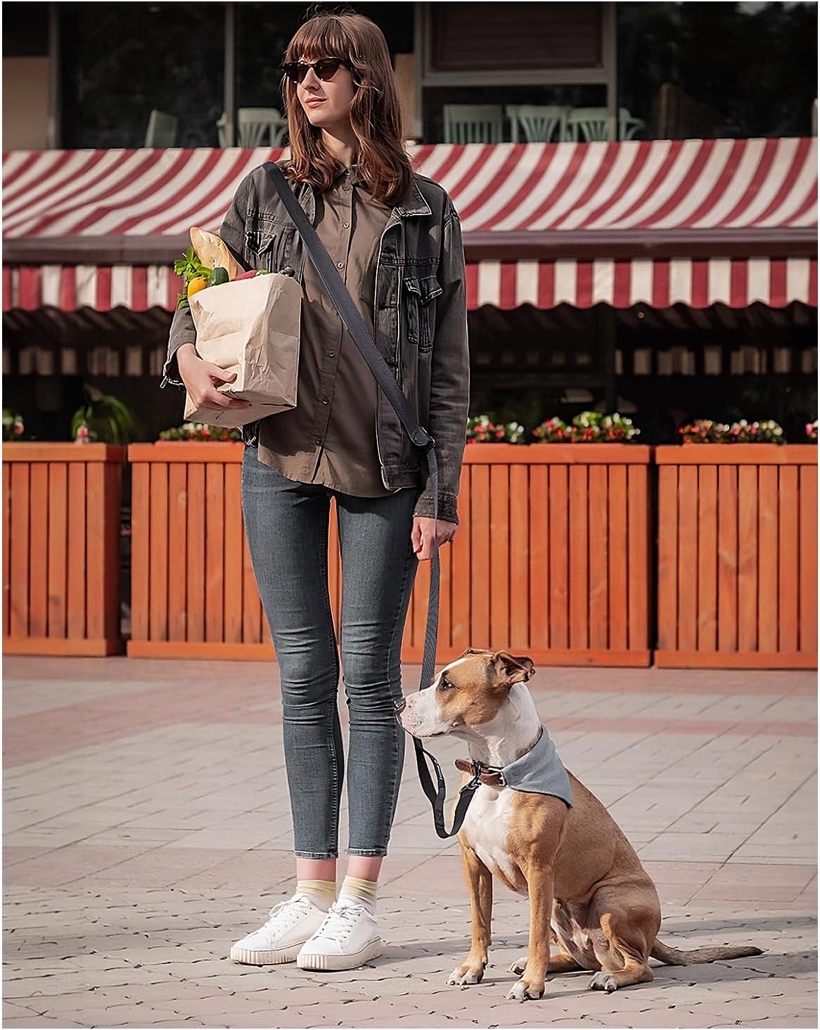 Thumbnail 6 de Hands Free Dog Lead 2.5M – Adjustable Crossbody Leash with Padded Handle
