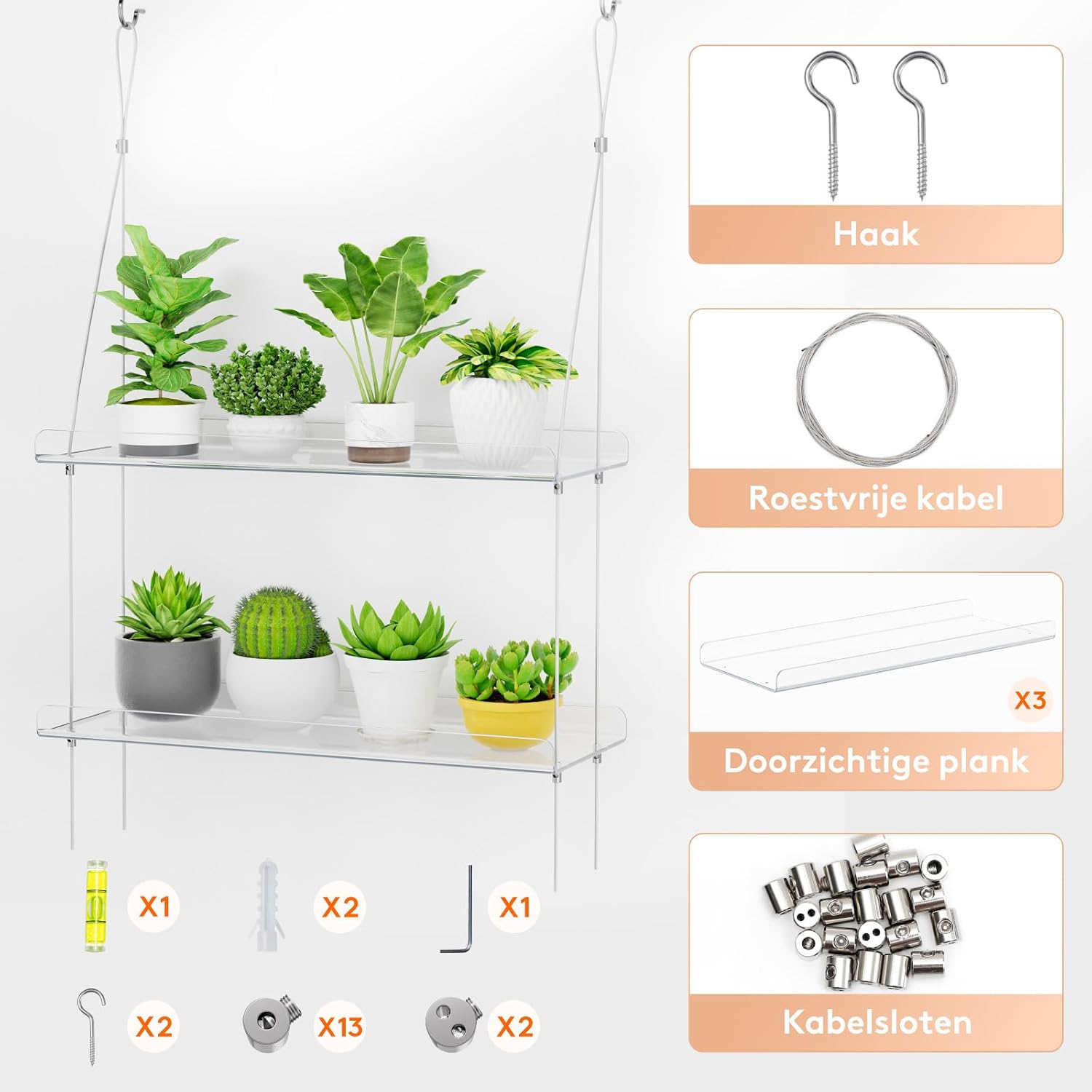 Detalle de Lifewit 24127 wandplank voor planten, transparant en verstelbaar met 3 niveaus