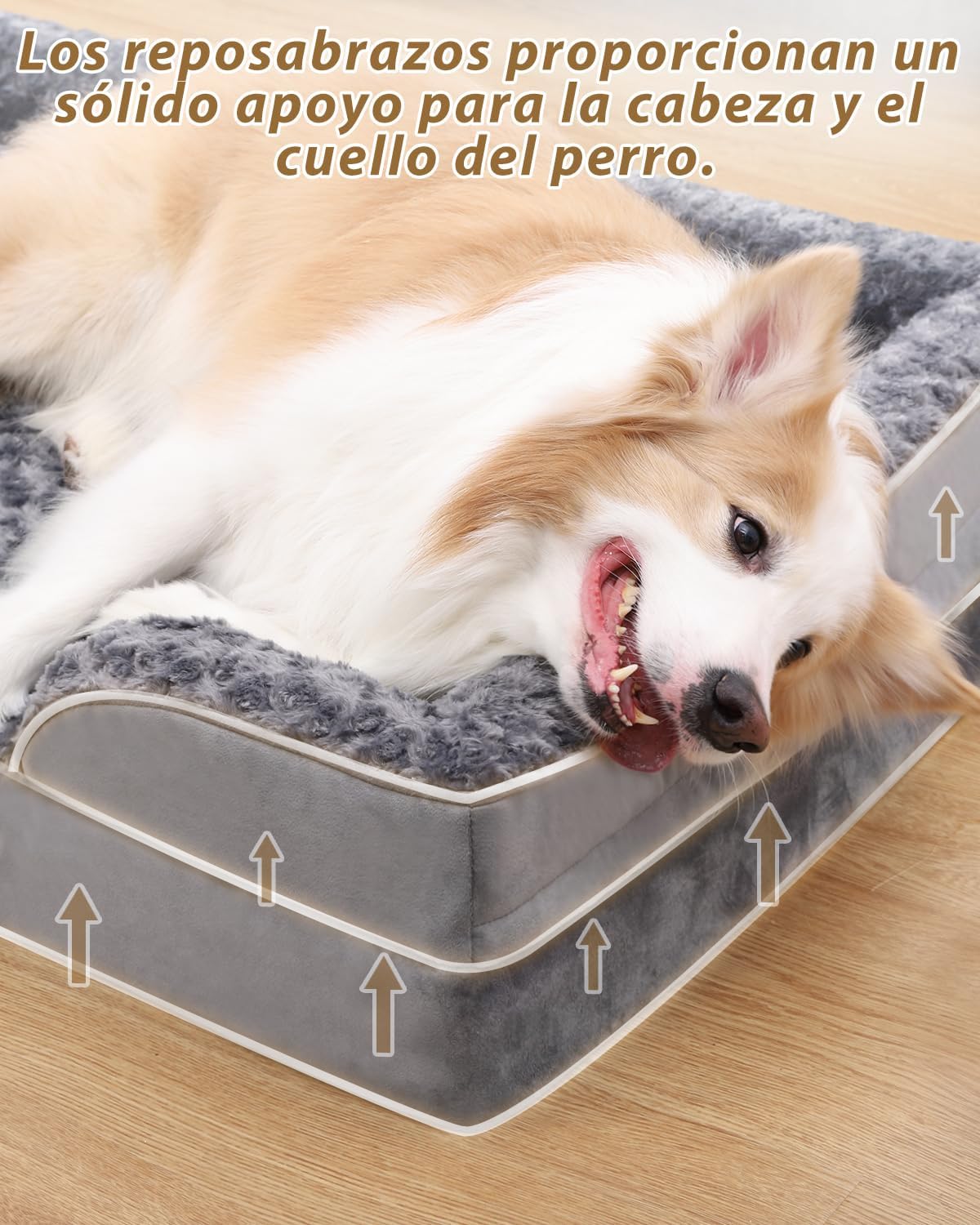 Thumbnail 4 de KSIIA Cama Perro Grande 121x76x18 cm