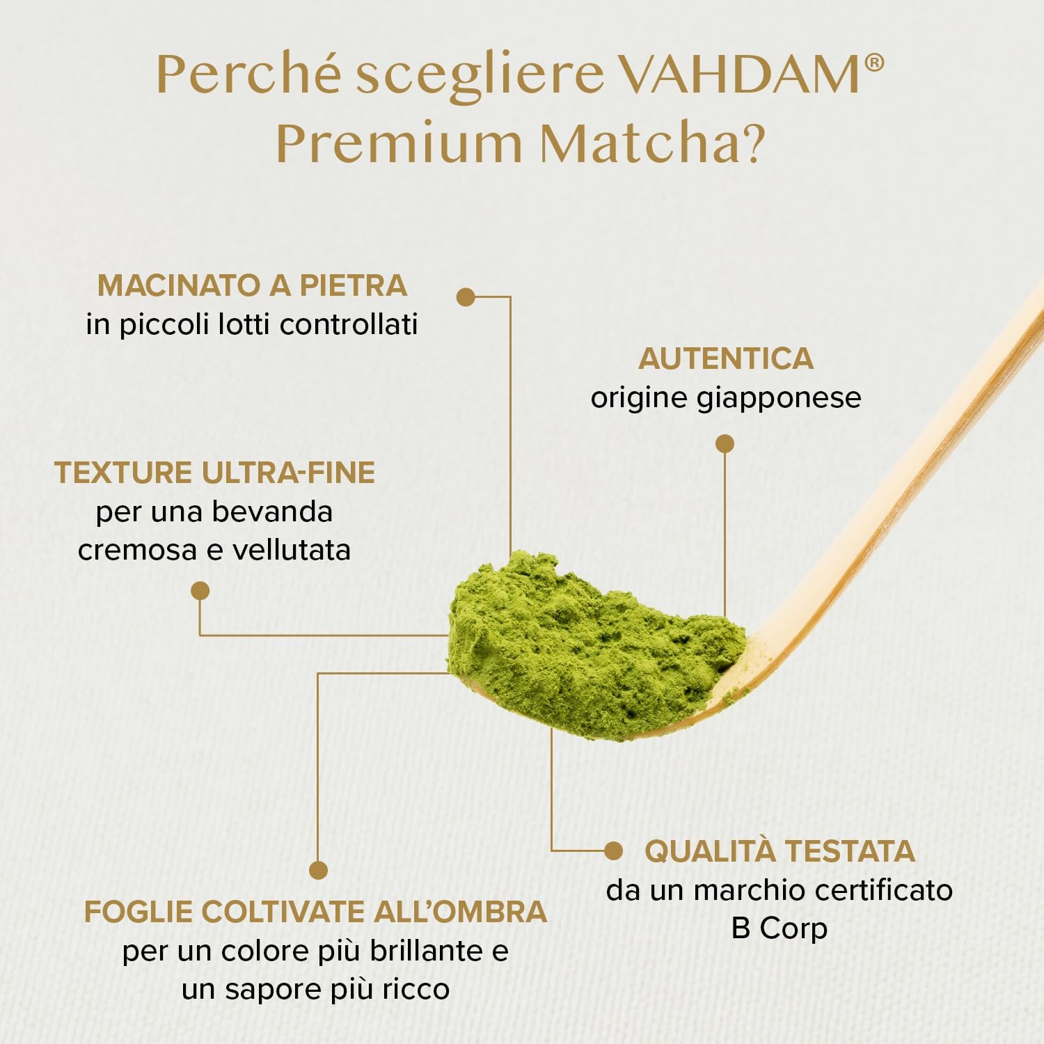 Thumbnail 6 de VAHDAM Matcha Premium Tè Verde 50g