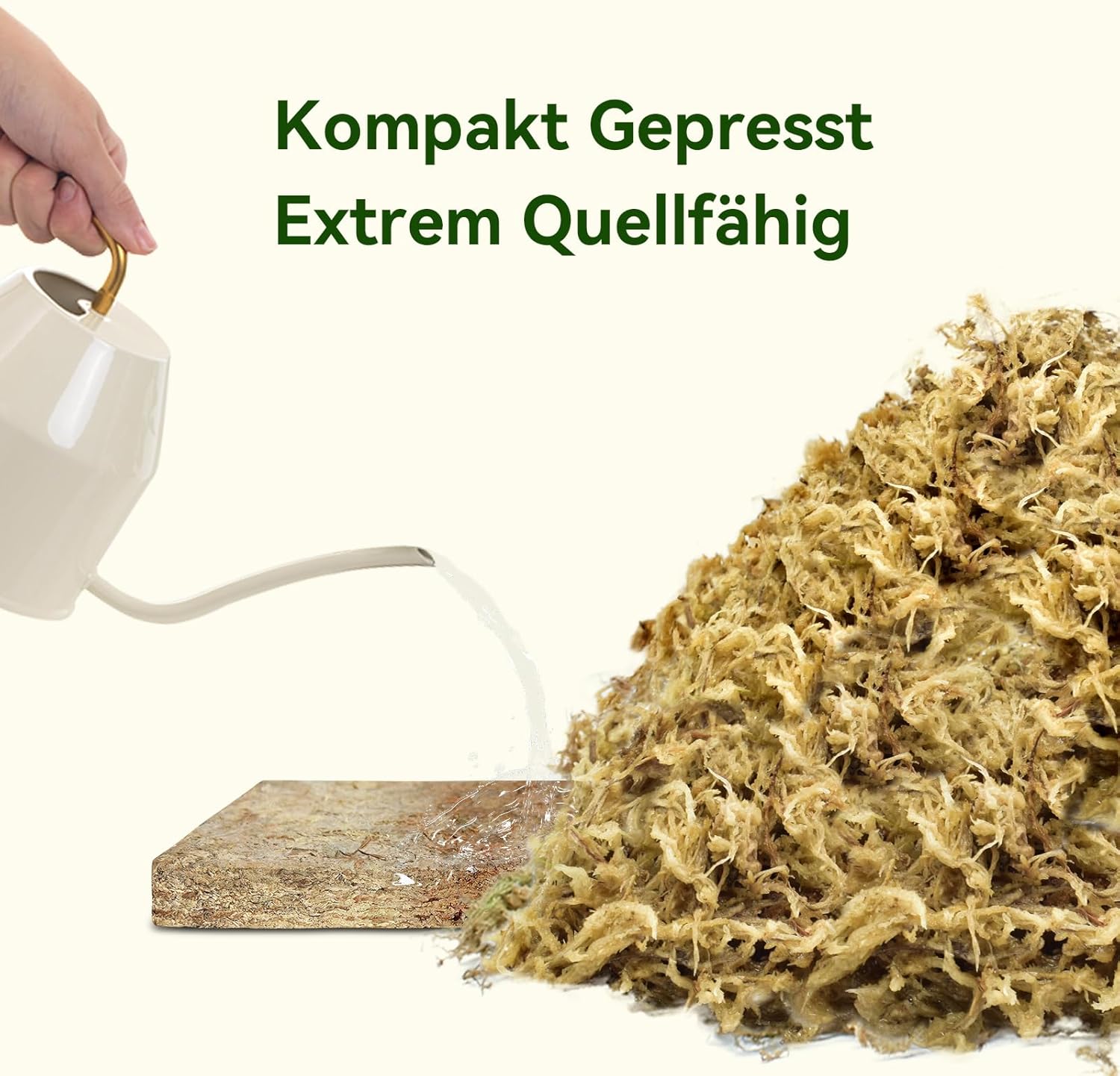 Detalle 2 de Halatoo Sphagnum Moos 170 g für Orchideen und Pflanzen
