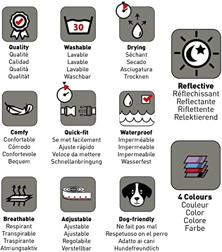 Thumbnail 4 de HALTI Collar cómodo para perros Talla M morado