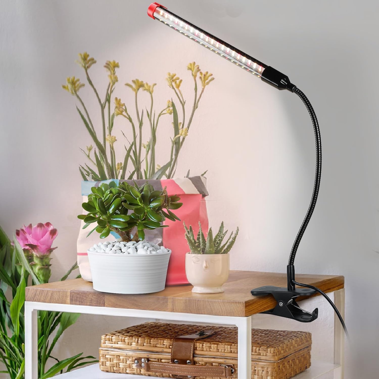 Thumbnail 6 de FECiDA ZH-RH Clip-On Grow Lights, 2-Pack, Full Spectrum, 5-Mode Timer