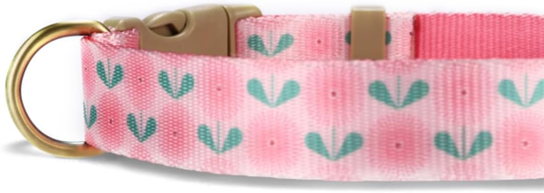 Detalle 2 de Petiry Lightweight Floral Dog Collar with Dandelion Pattern for Small Dogs (Pink Dandelion)