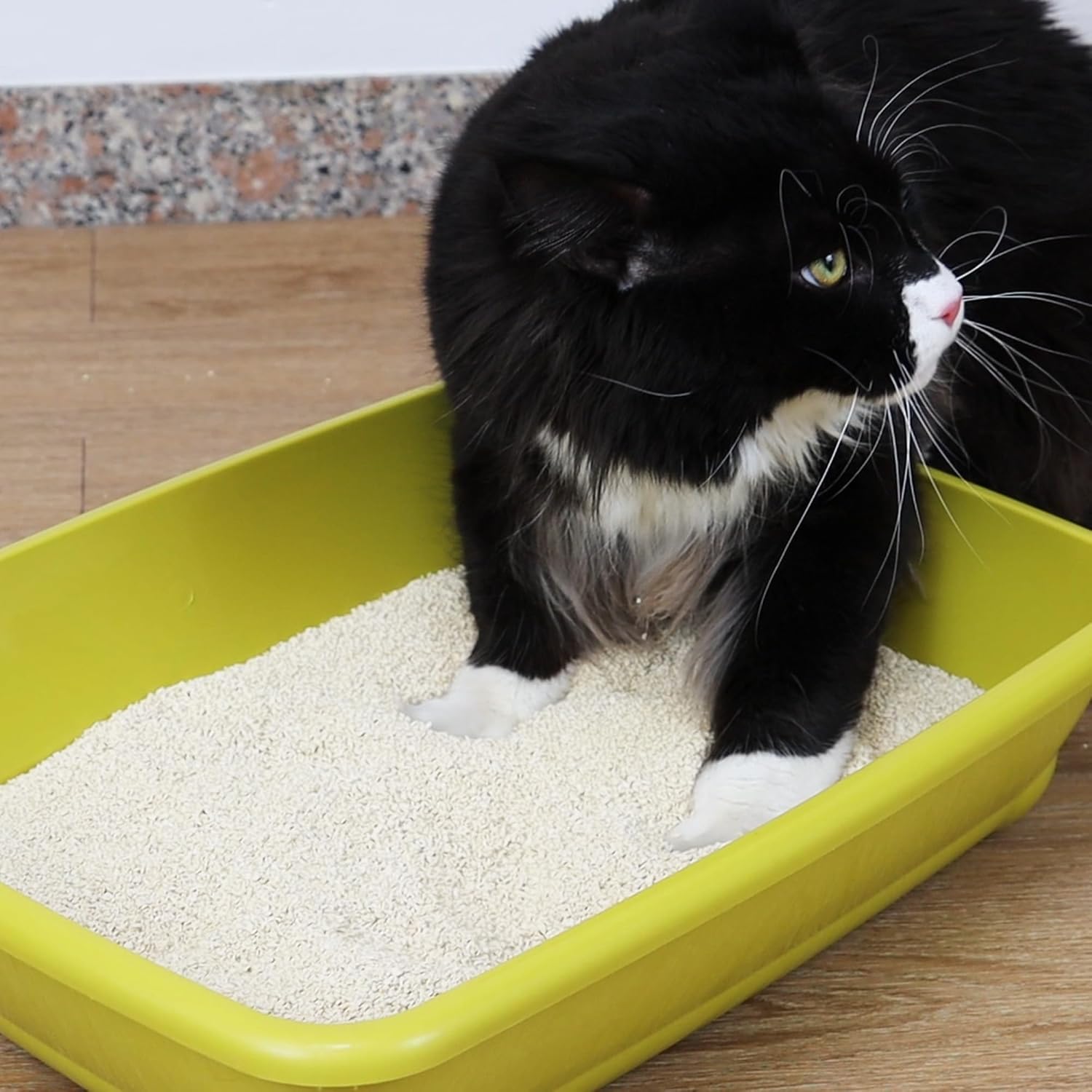 Thumbnail 5 de Croci Tofu Clean Litter 10L: Clumping, 100% Plant-Based, Flushable Cat Litter