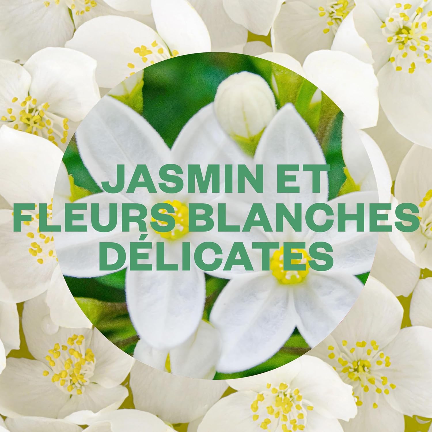 Detalle 2 de Air Wick Freshmatic Jasmin 6 recharges 🏠
