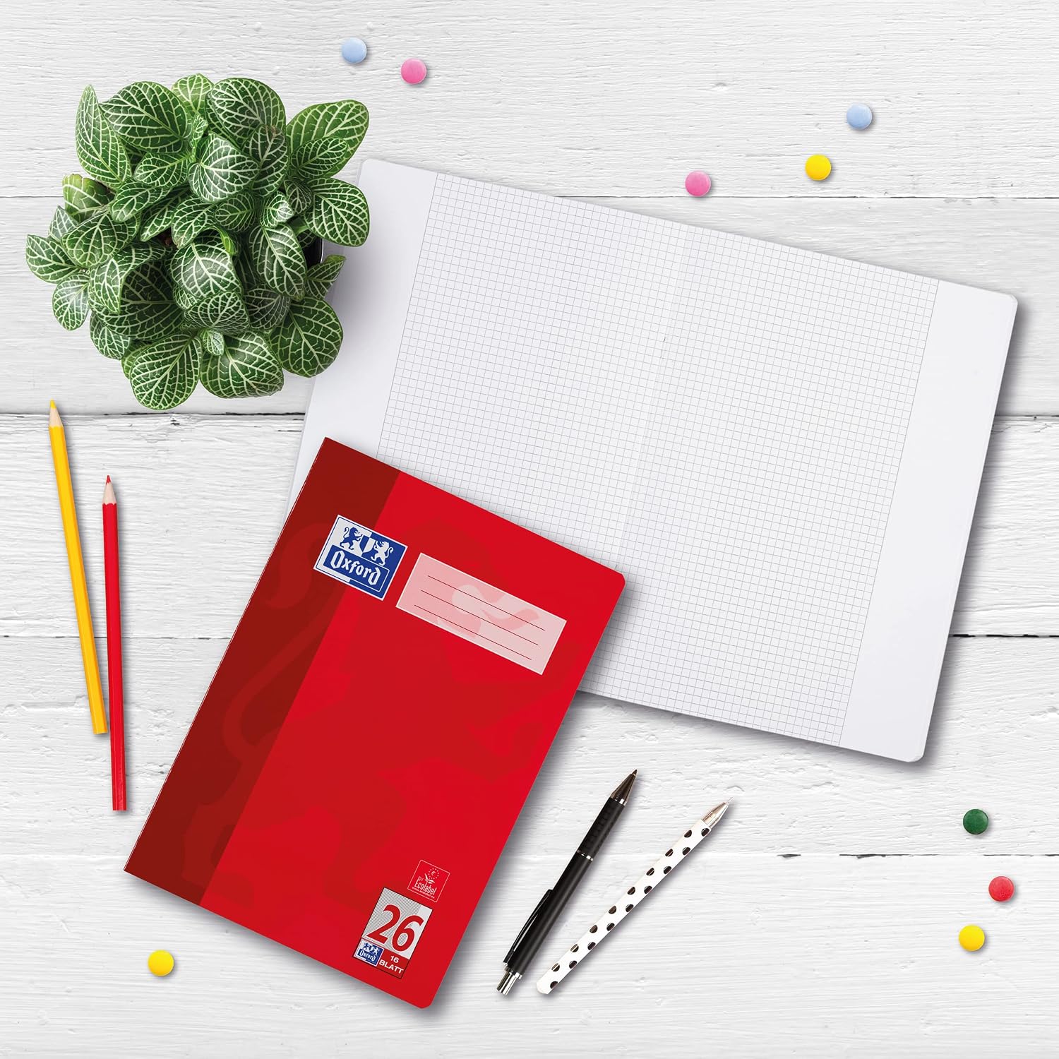 Detalle 2 de Oxford Schulheft A4, 16 Blatt, Lineatur 26, kariert – 10er Pack